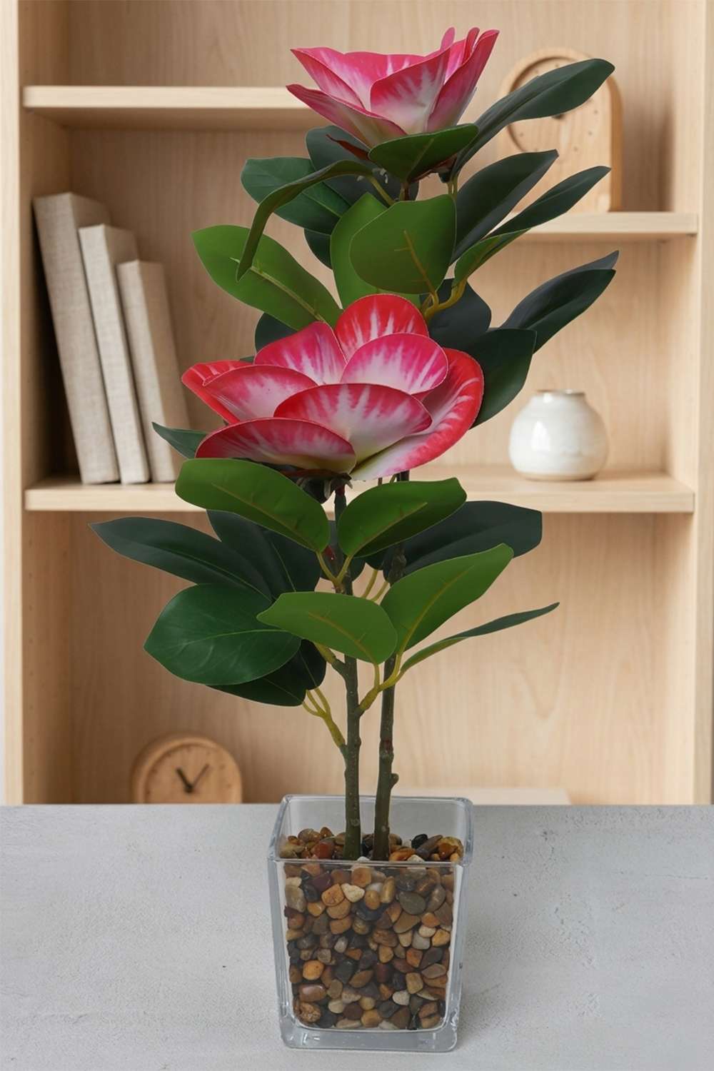 Noir-Magnolia-Potted-Flower-Pink-38Cm
