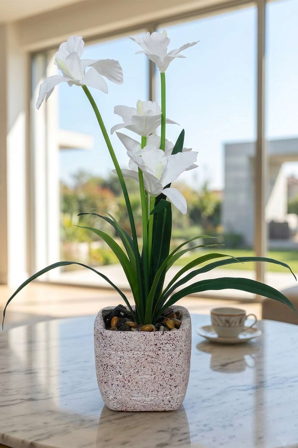 Noir-Orchid-Potted-Flower-White-43Cm