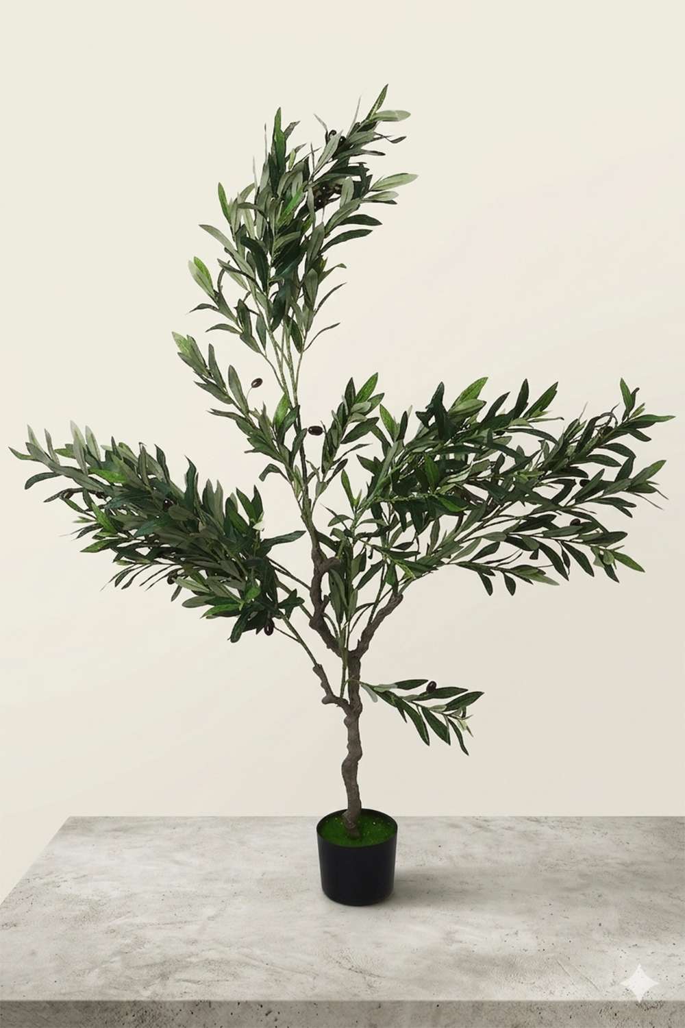 Noir-Olive-Plant-Plotted-Tree-140Cm