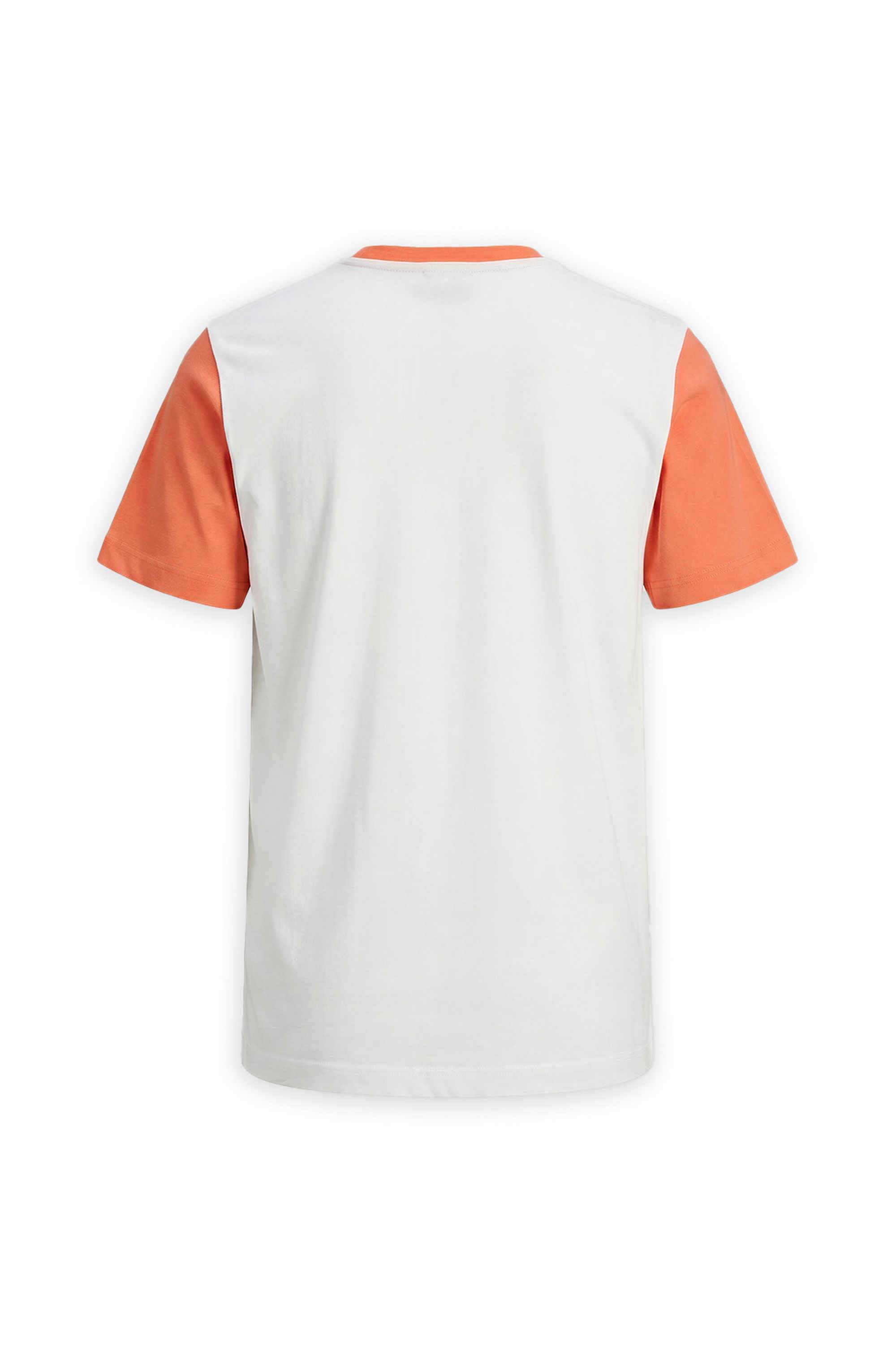 Graphic-Print-Cotton-Round-Neck-Boys-T-Shirt