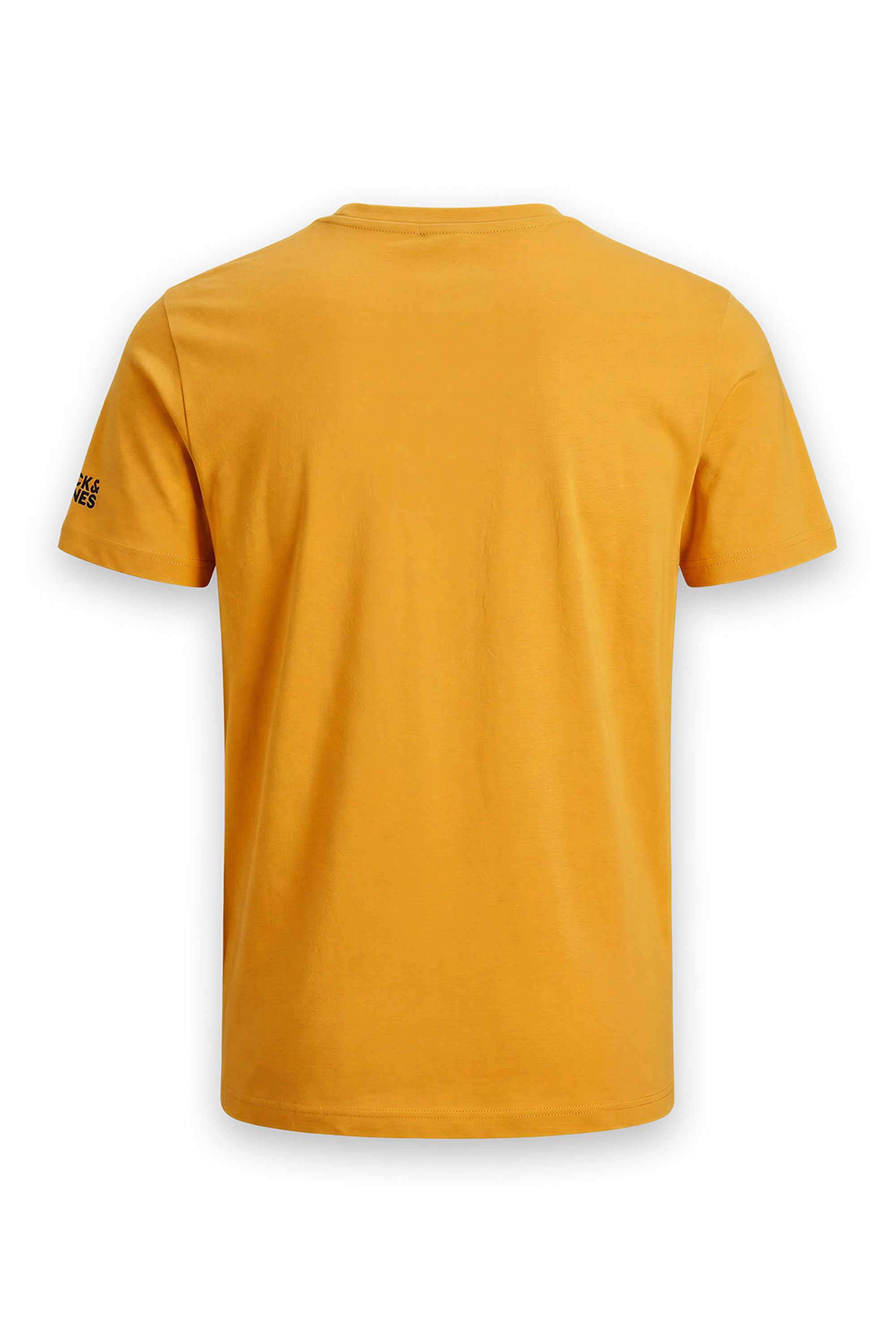 Embellished-Cotton-Round-Neck-Boys-T-Shirt