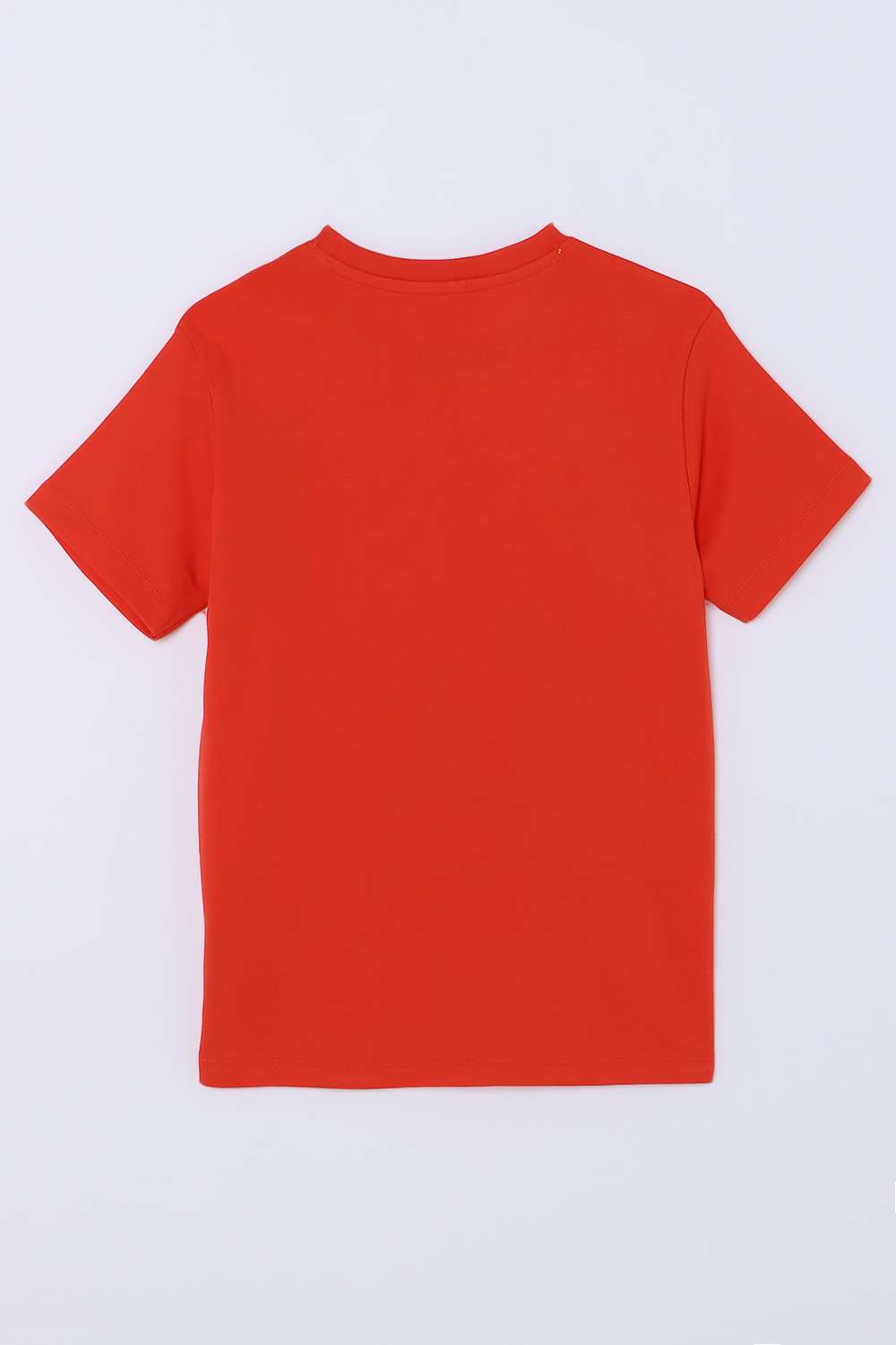 Graphic-Print-Blended-Fabric-Round-Neck-Boys-T-Shirt