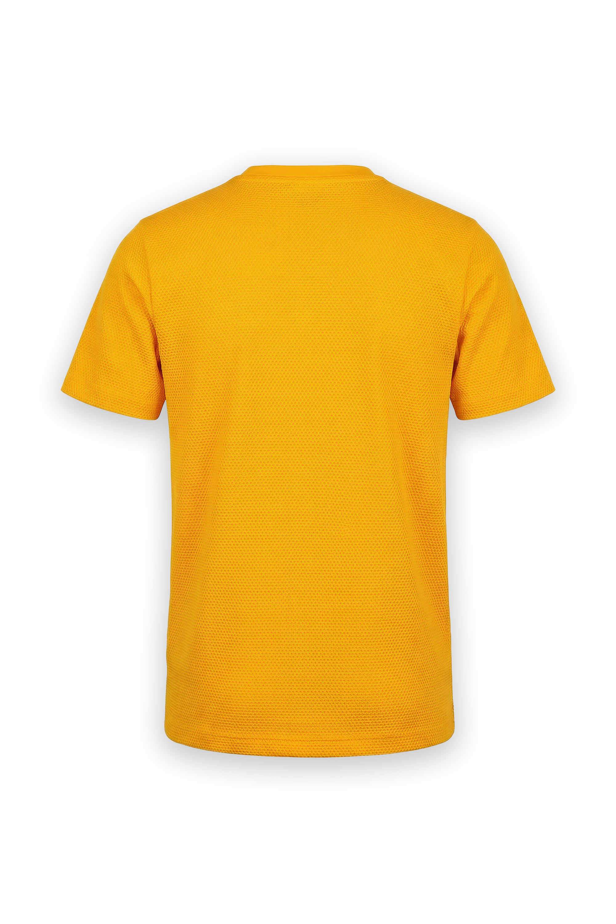 Graphic-Print-Blended-Fabric-Round-Neck-Boys-T-Shirt