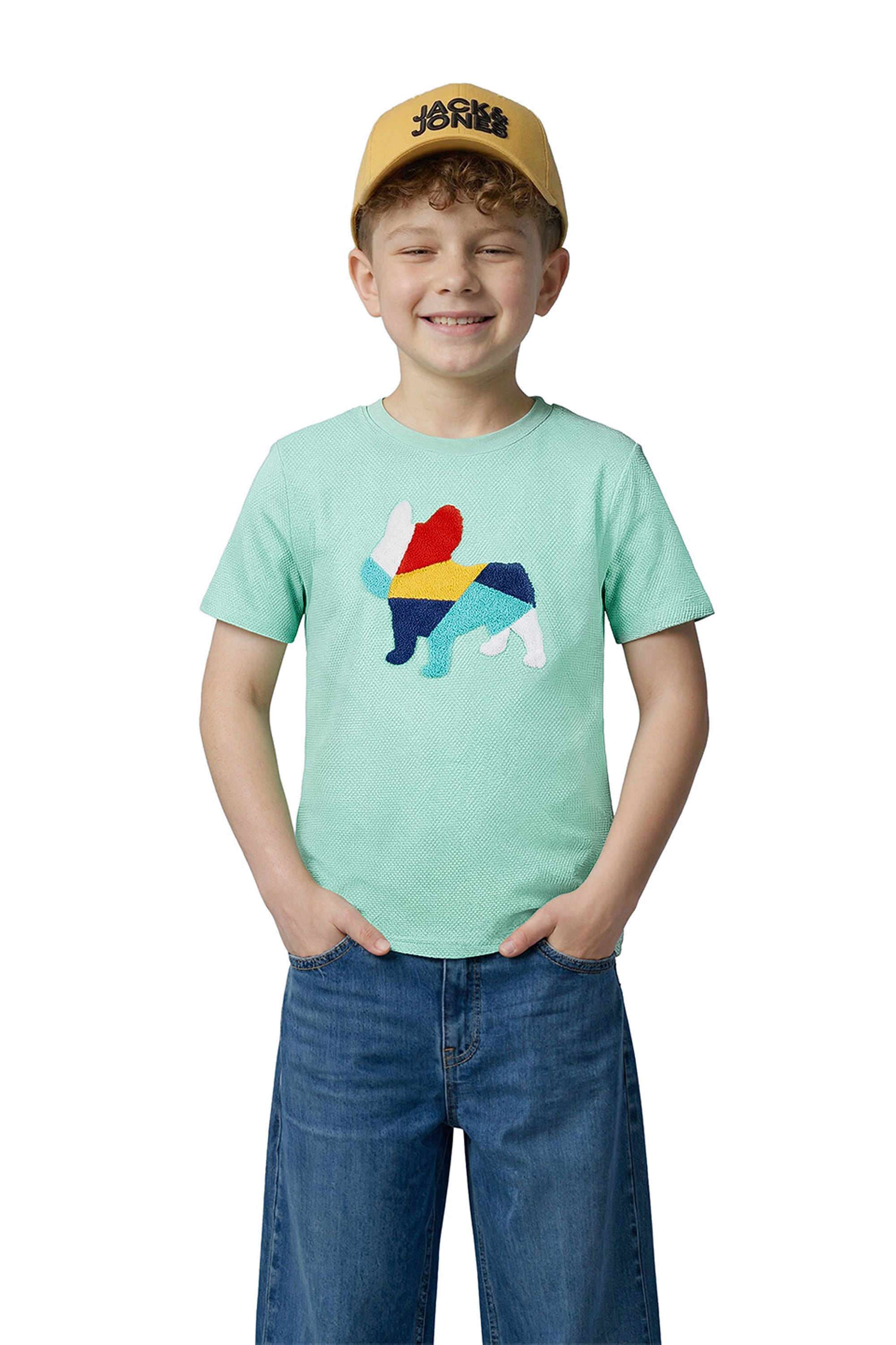 Embroidered-Cotton-Round-Neck-Boys-T-Shirt