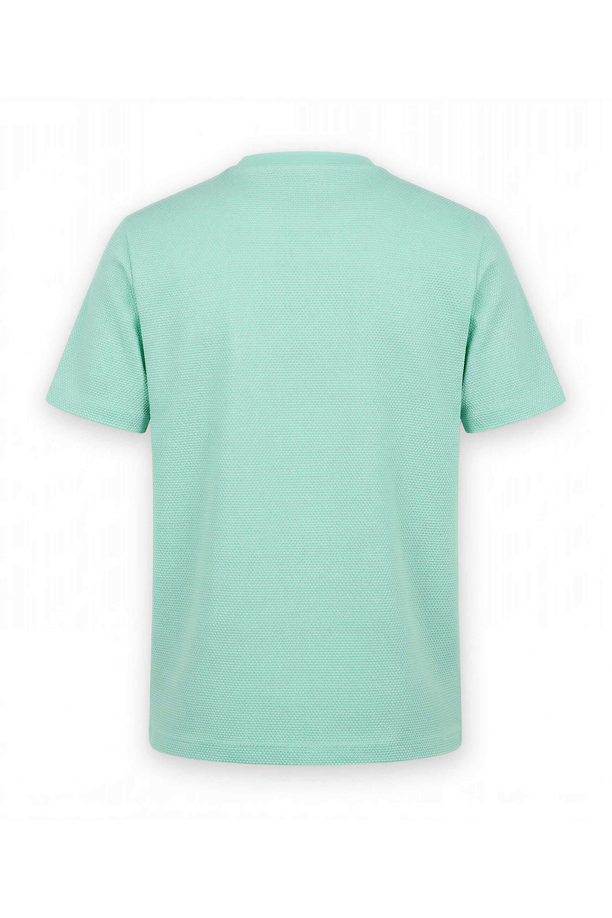 Embroidered-Cotton-Round-Neck-Boys-T-Shirt