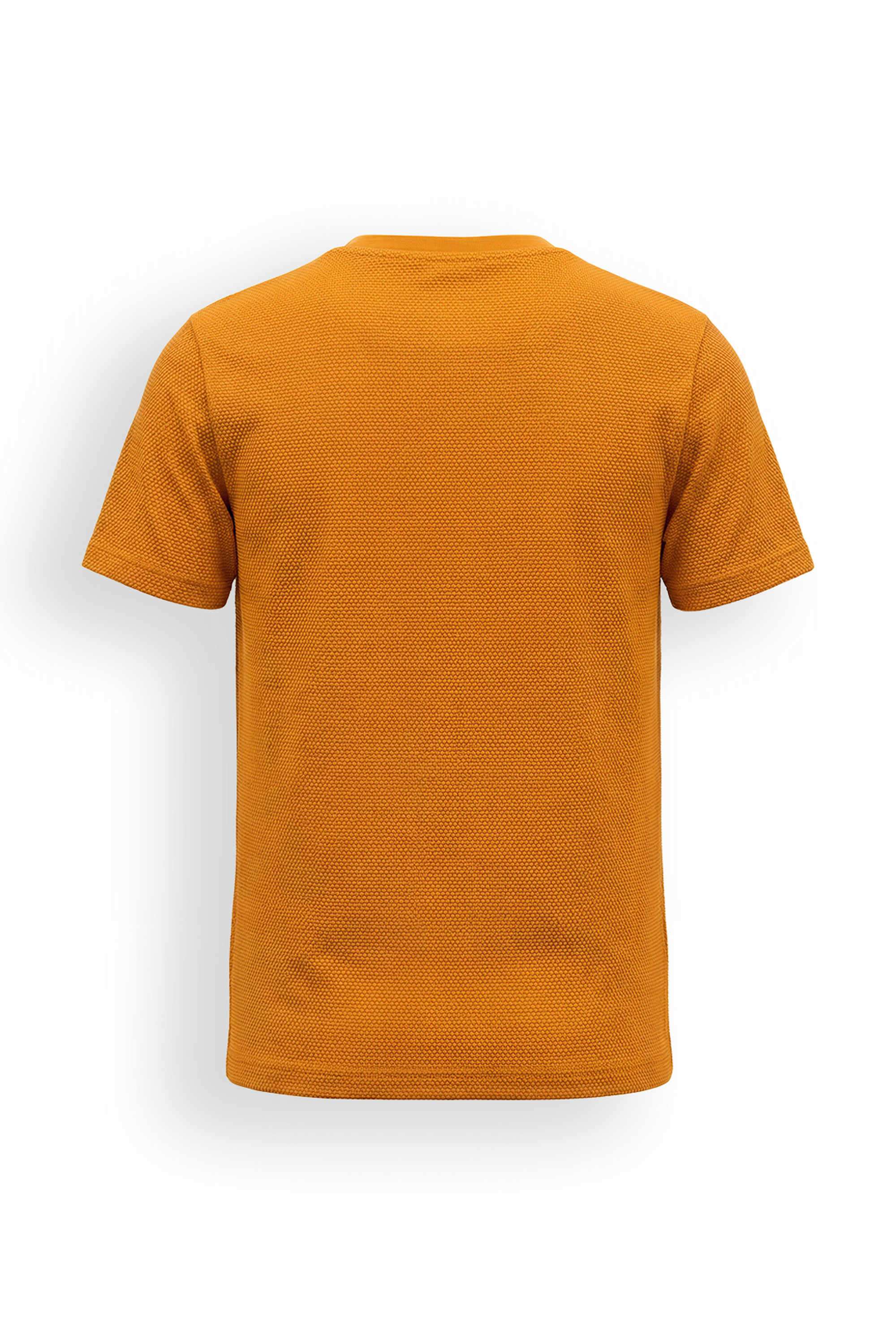 Embroidered-Cotton-Round-Neck-Boys-T-Shirt