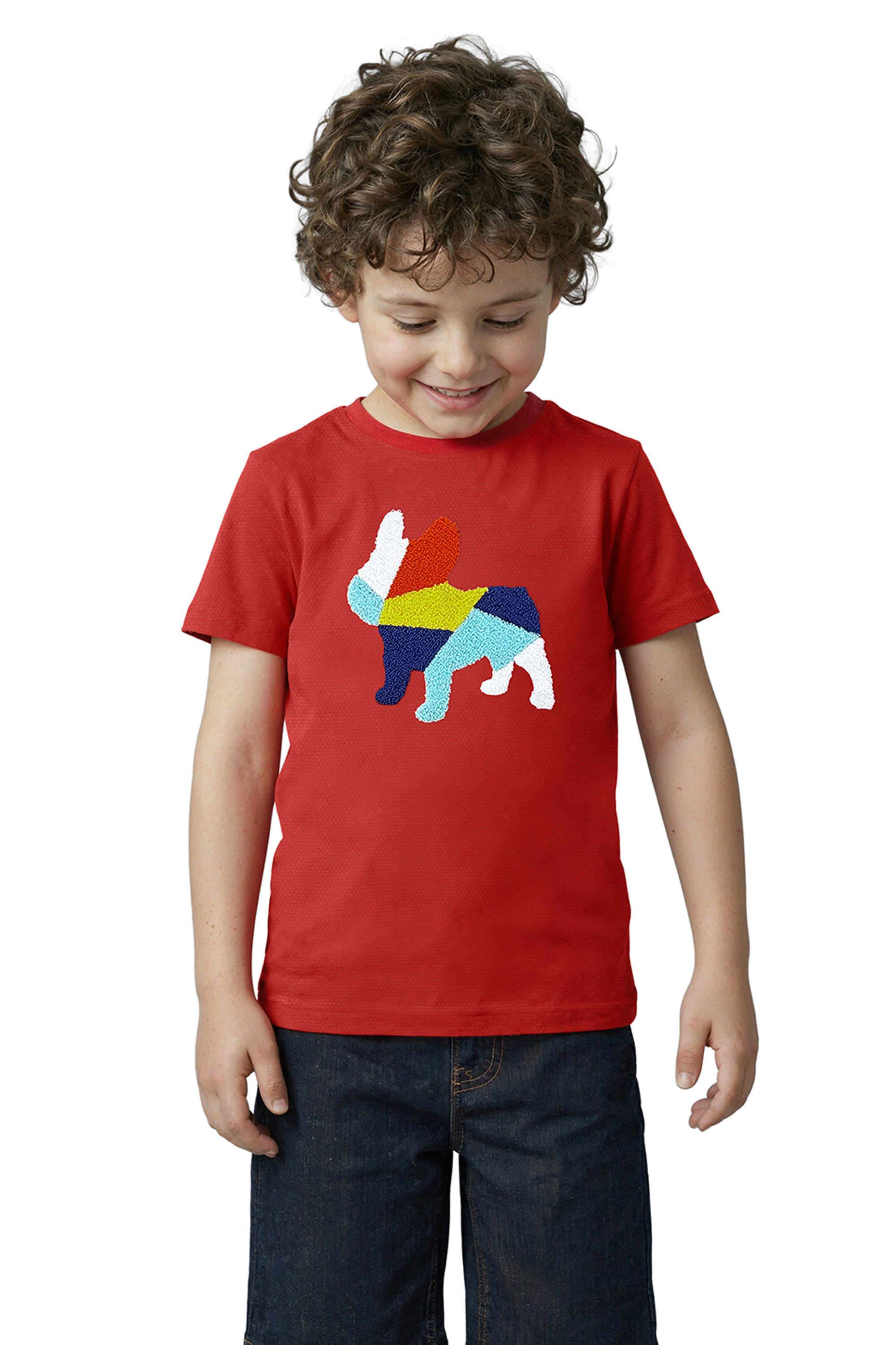 Embroidered-Cotton-Round-Neck-Boys-T-Shirt