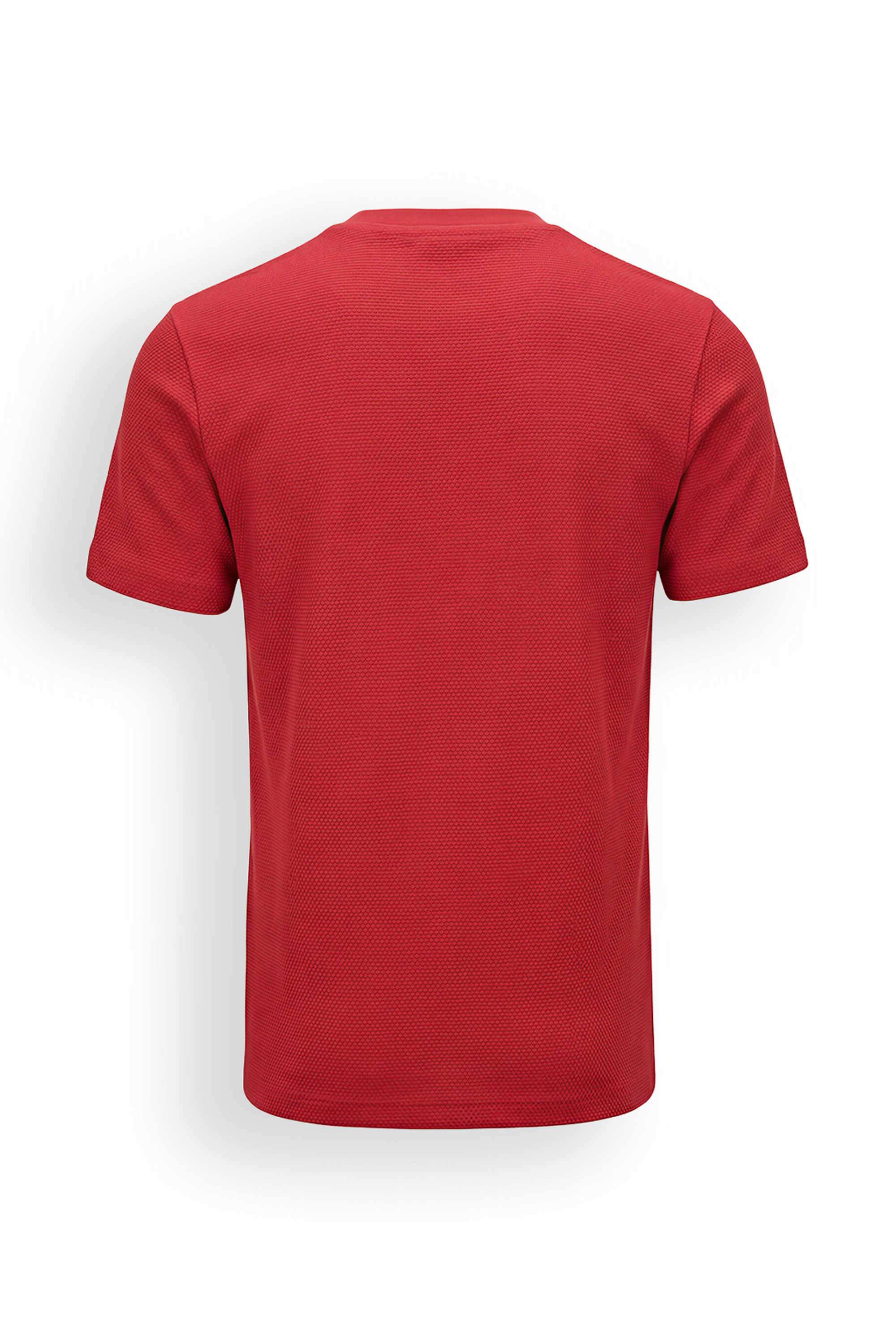Embroidered-Cotton-Round-Neck-Boys-T-Shirt