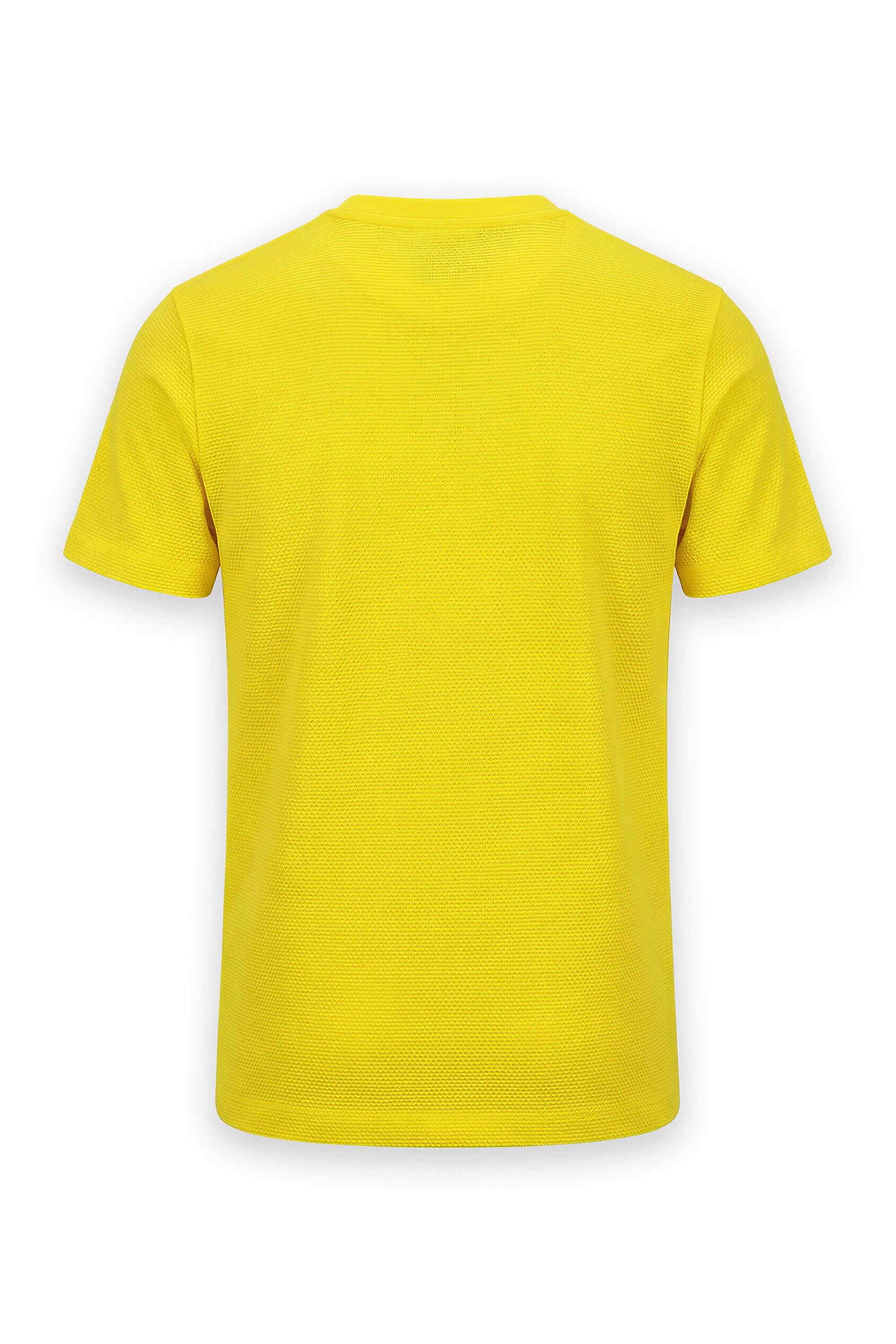 Embroidered-Cotton-Round-Neck-Boys-T-Shirt
