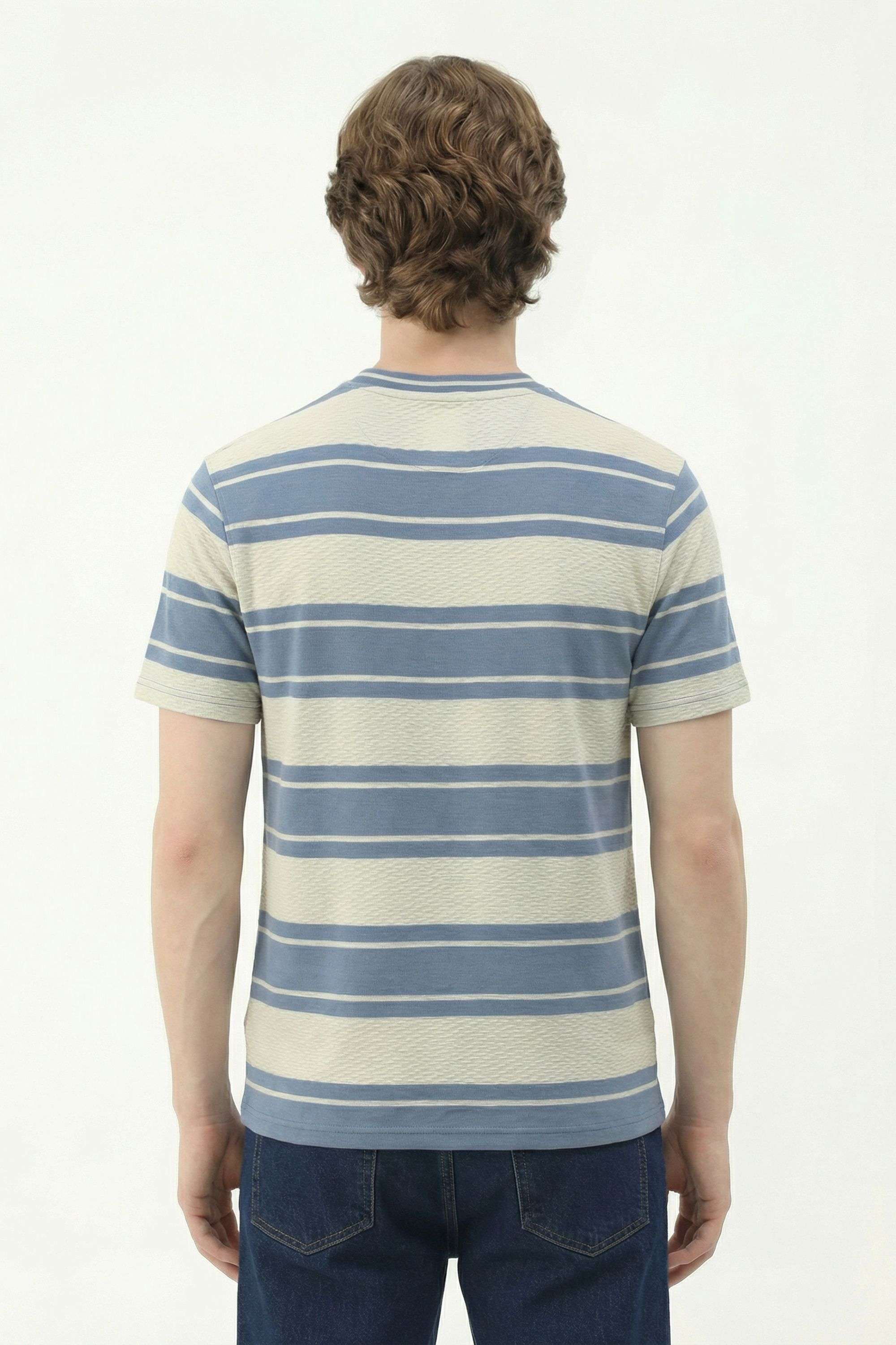 Stripes-Cotton-Regular-Fit-Men-T-Shirt