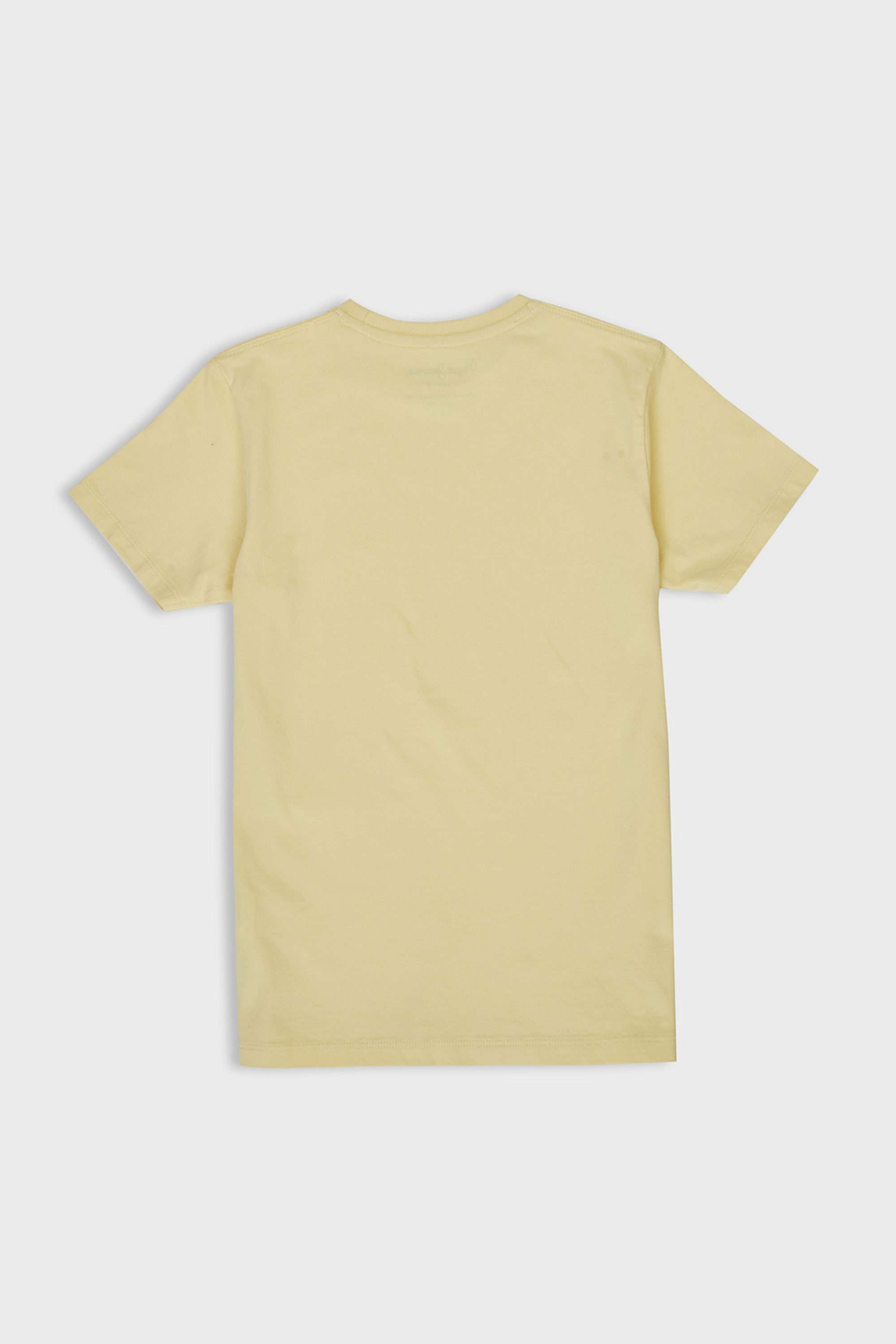 Graphic-Print-Cotton-Round-Neck-Boys-T-Shirt