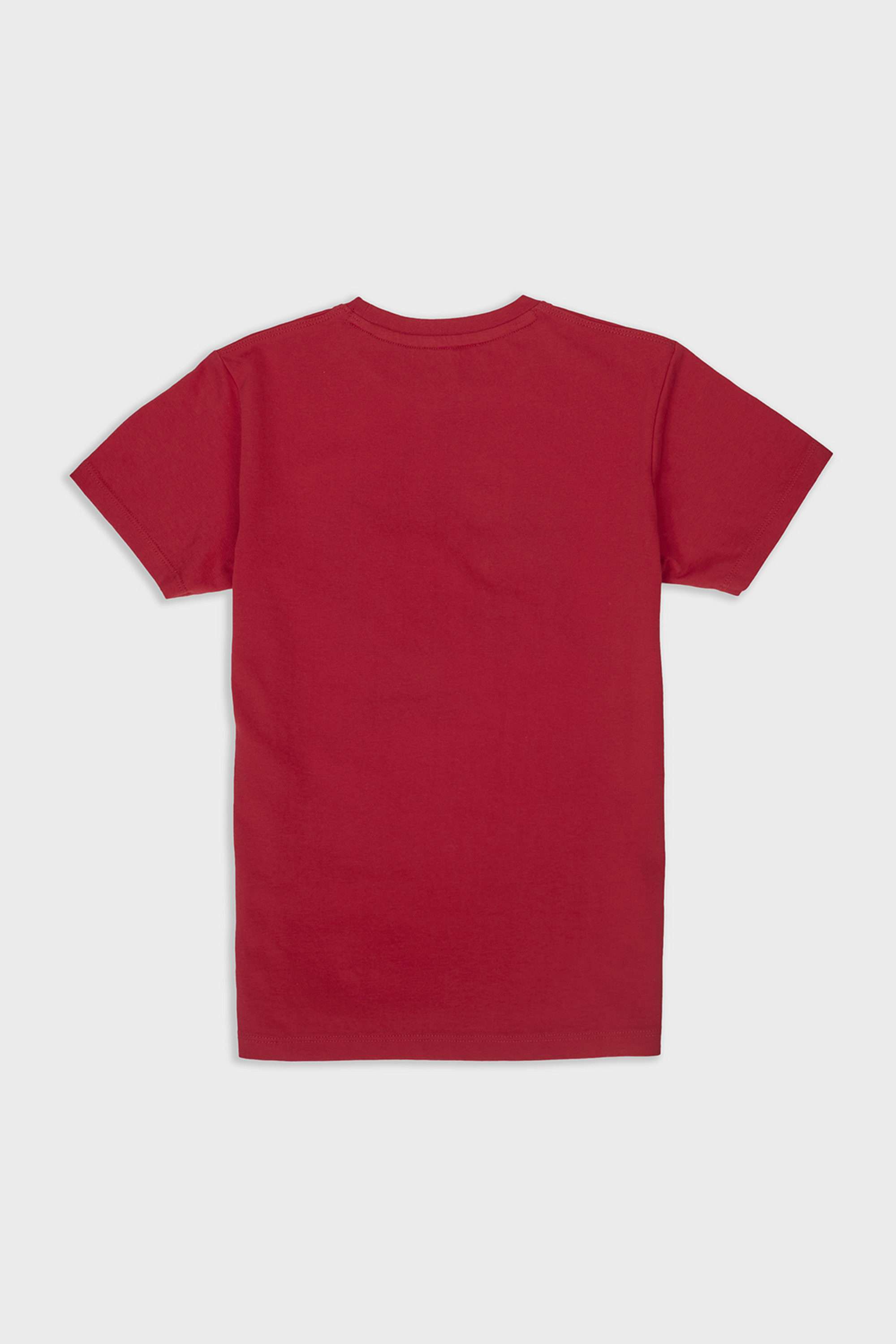 Graphic-Print-Cotton-Round-Neck-Boys-T-Shirt