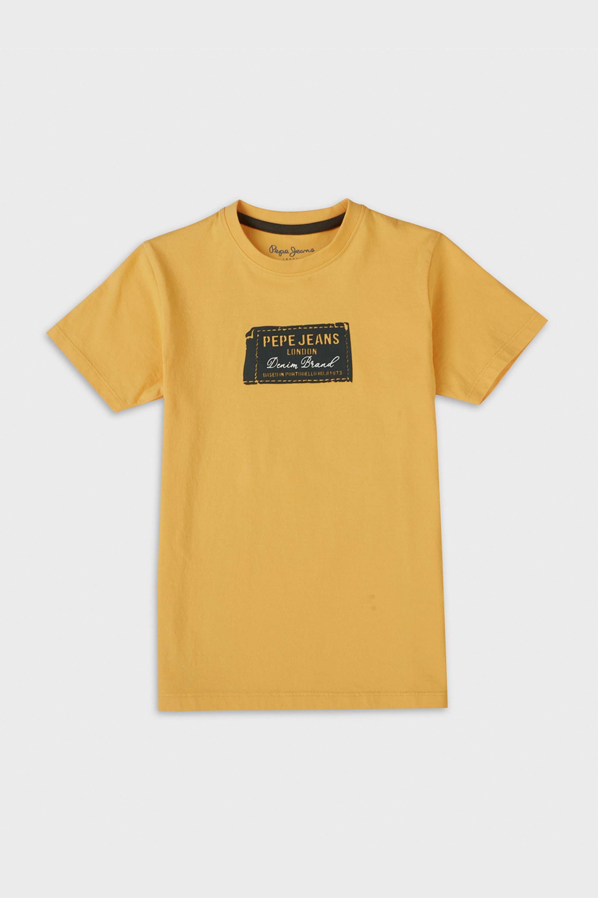 Graphic-Print-Cotton-Round-Neck-Boys-T-Shirt