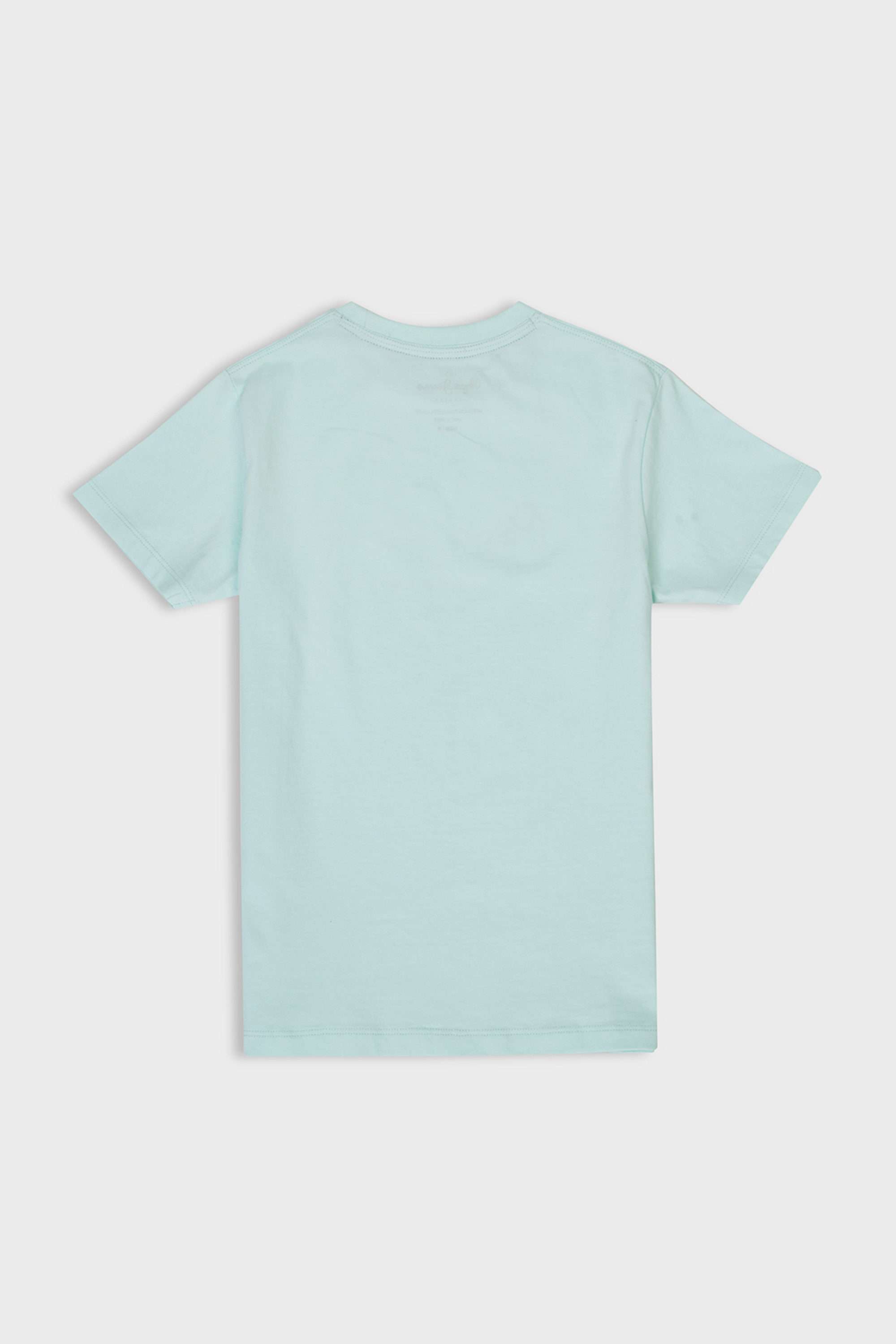 Graphic-Print-Cotton-Round-Neck-Boys-T-Shirt