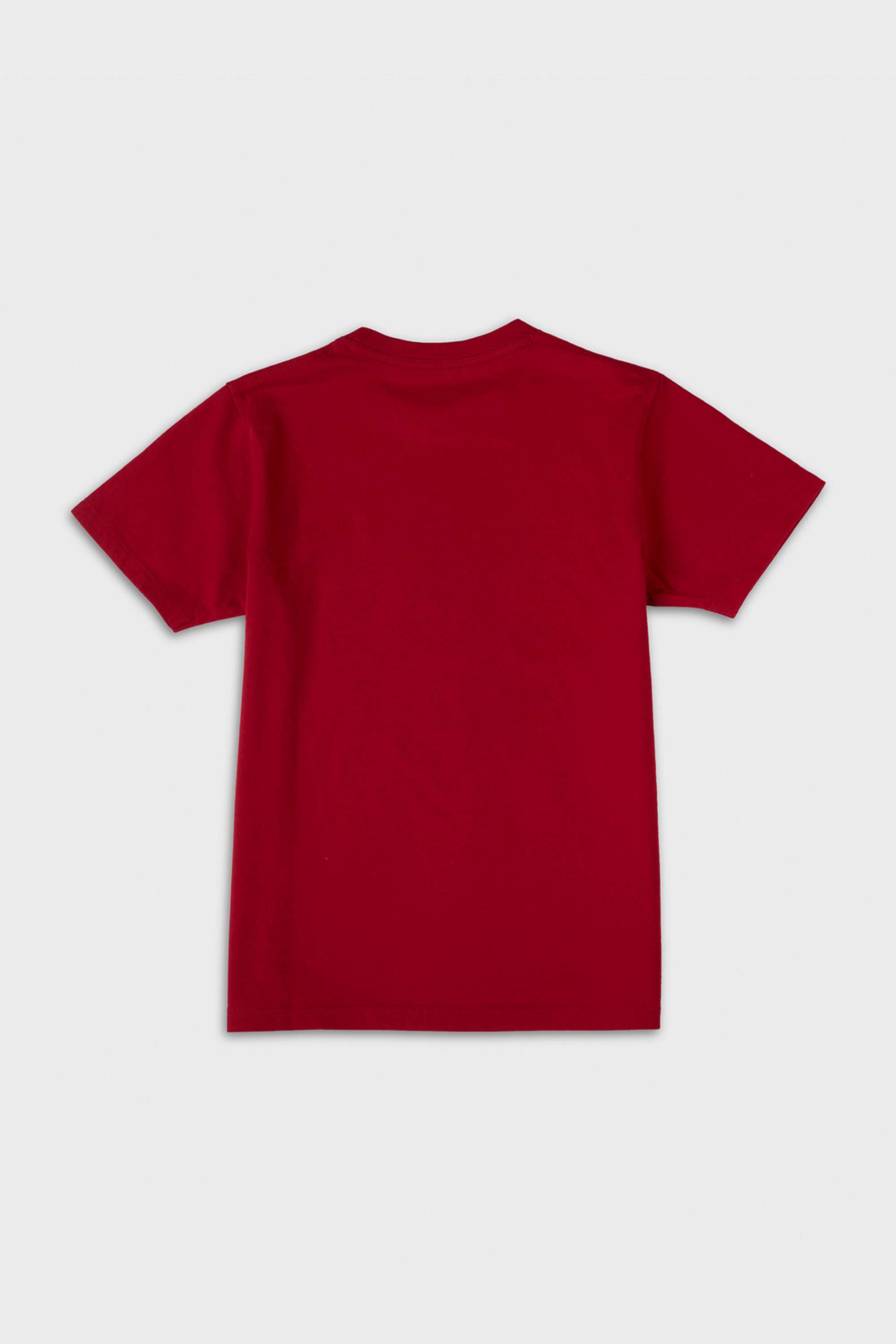 Graphic-Print-Cotton-Round-Neck-Boys-T-Shirt