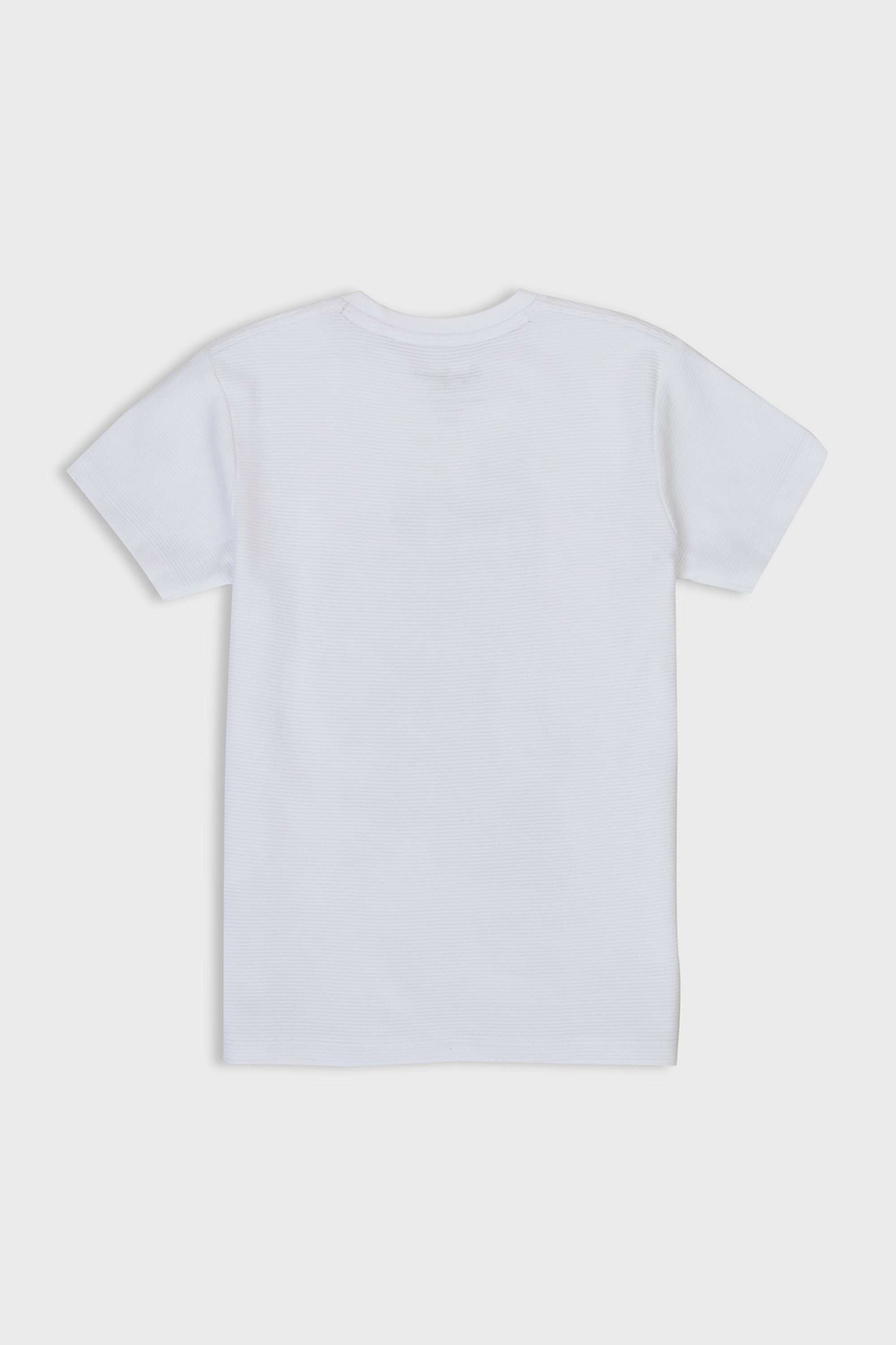Graphic-Print-Cotton-Round-Neck-Boys-T-Shirt