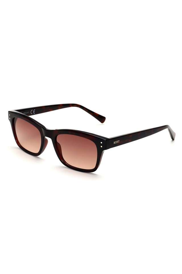 Unisex-Full-Rim-Non-Polarized-Wayfarer-Sunglasses