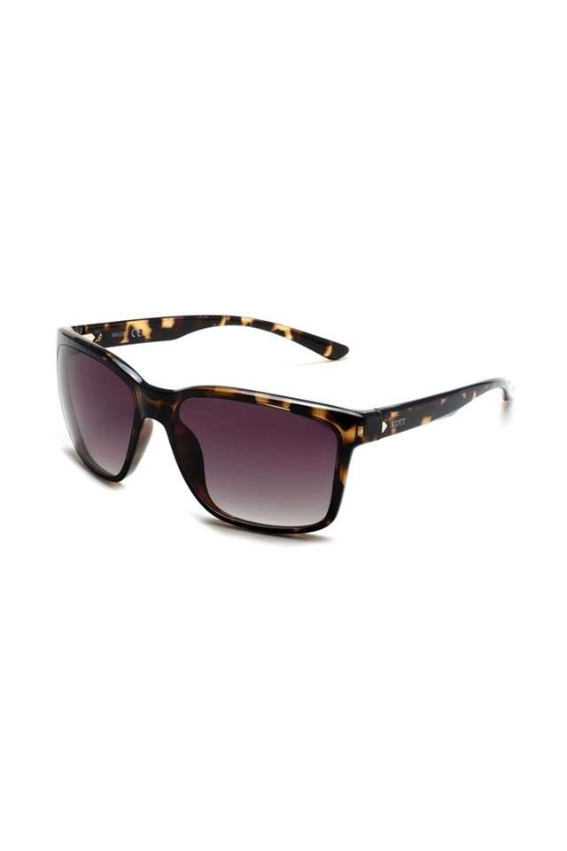 Mens-SC2580-Dion-Full-Rim-Non-Polarized-Round-Sunglasses