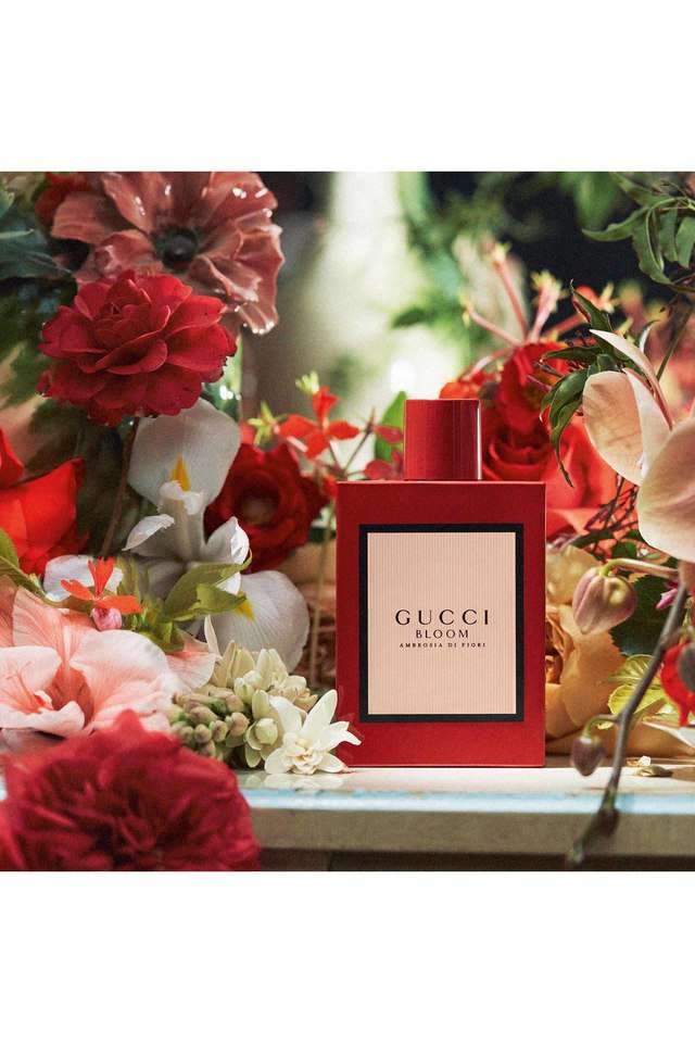 Buy GUCCI nocolor Gucci Bloom Ambrosia Di Fiori Eau De