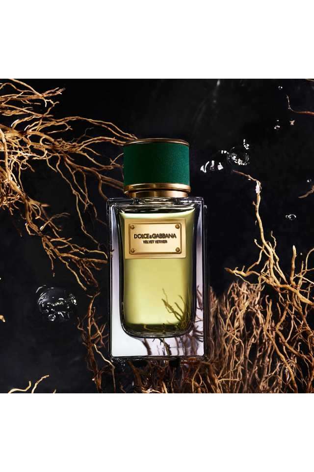 Buy Dolce&Gabbana NoColour Velvet Vetiver EDP for Men and Women