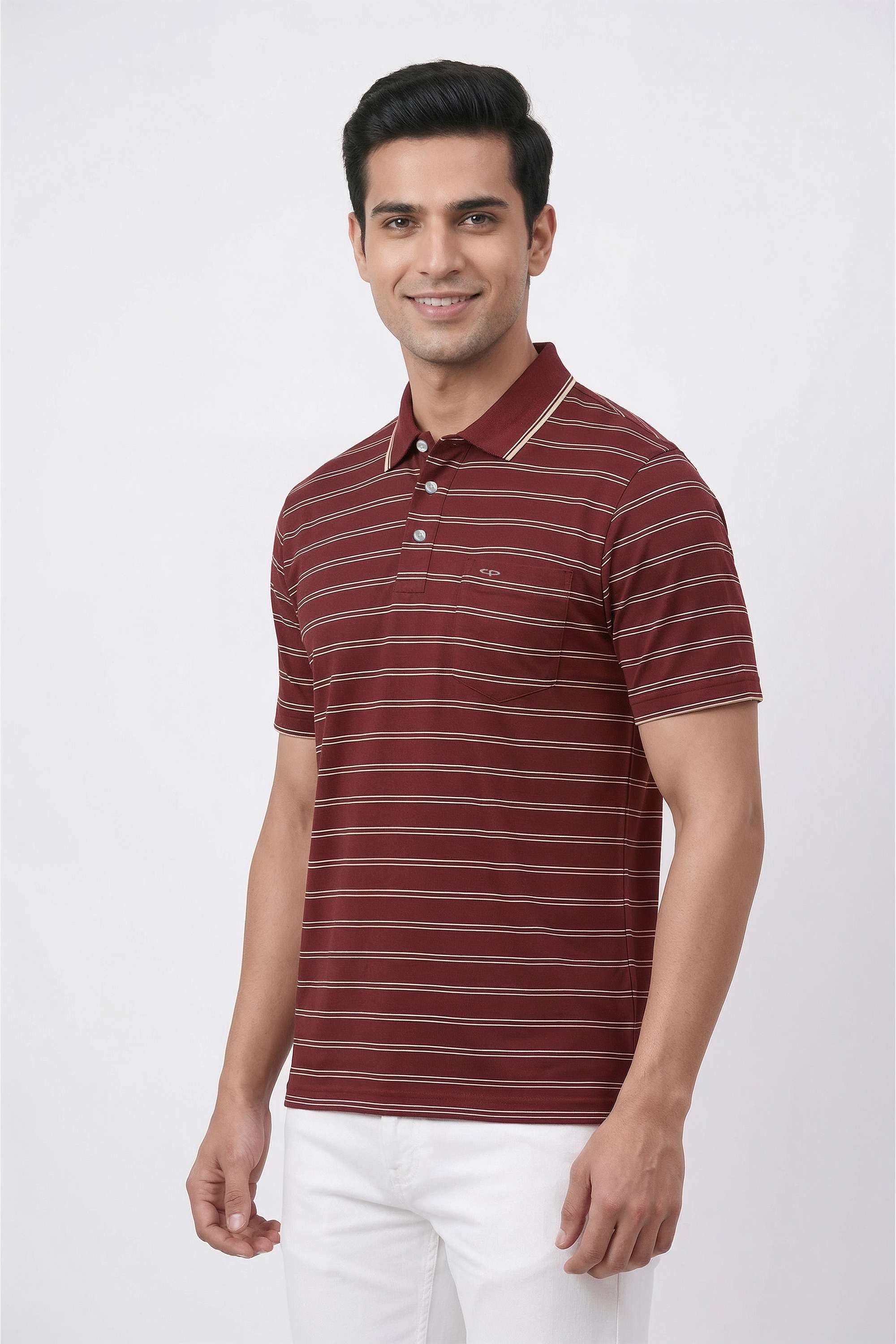 Stripes-Cotton-Regular-Fit-Men-s-T-Shirt