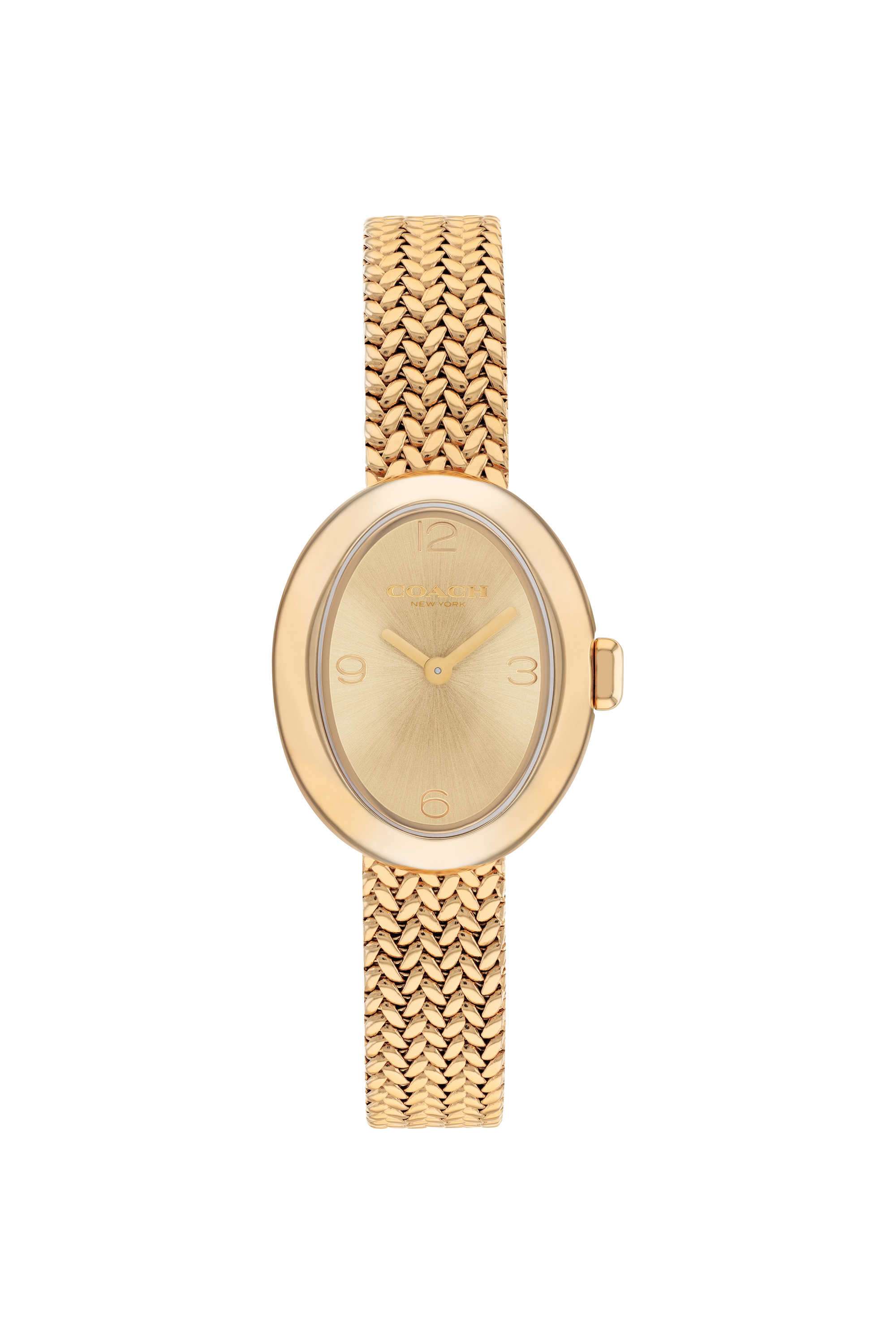 Sammy-Quartz-Basic-Slim-Gold-Oval-Dial-Women-s-Watch---14504567