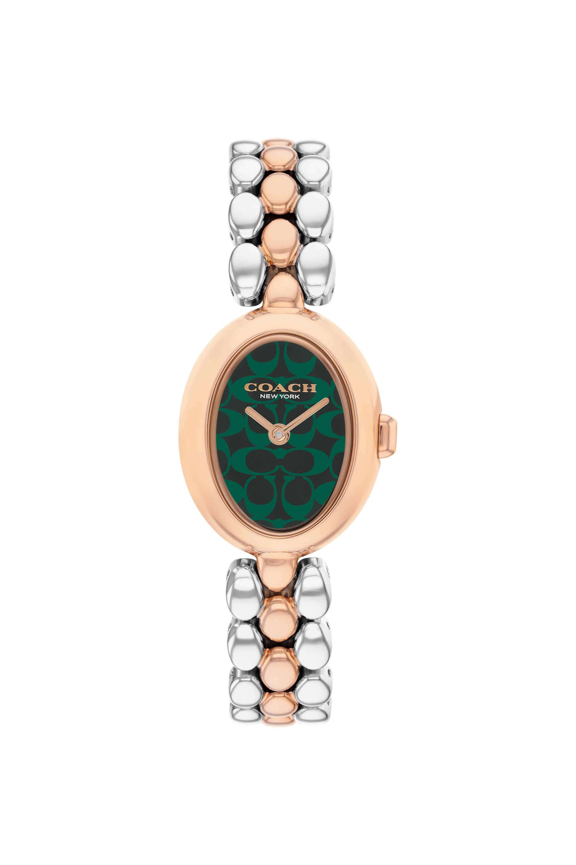Sammy-22.5-mm-Green-Dial-Stainless-Steel-Analogue-Watch-For-Women---14504641