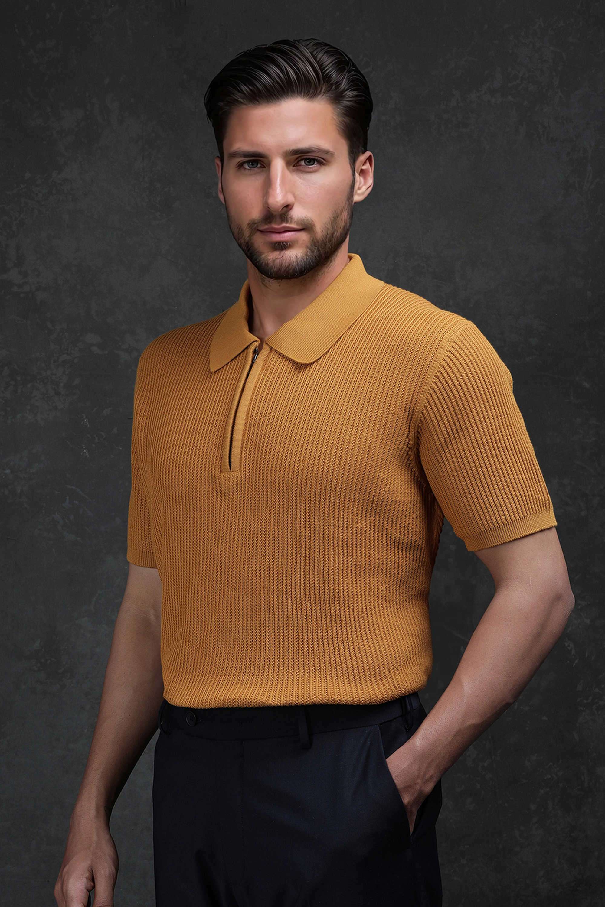 Textured-Cotton-Regular-Fit-Men-Polo-T-Shirt