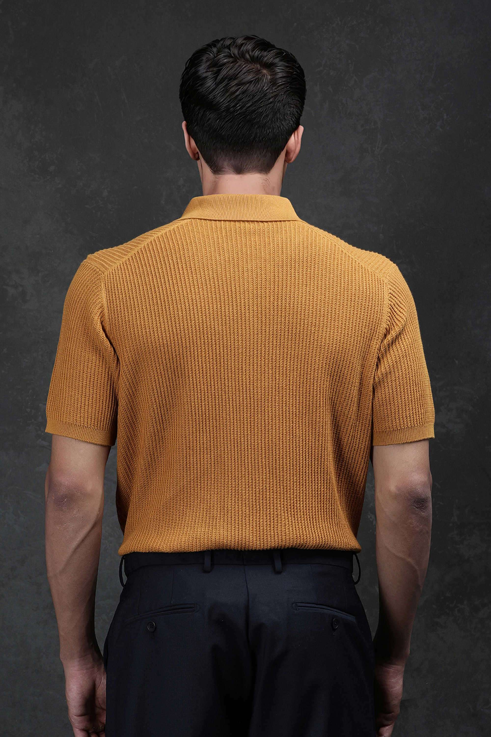 Textured-Cotton-Regular-Fit-Men-Polo-T-Shirt