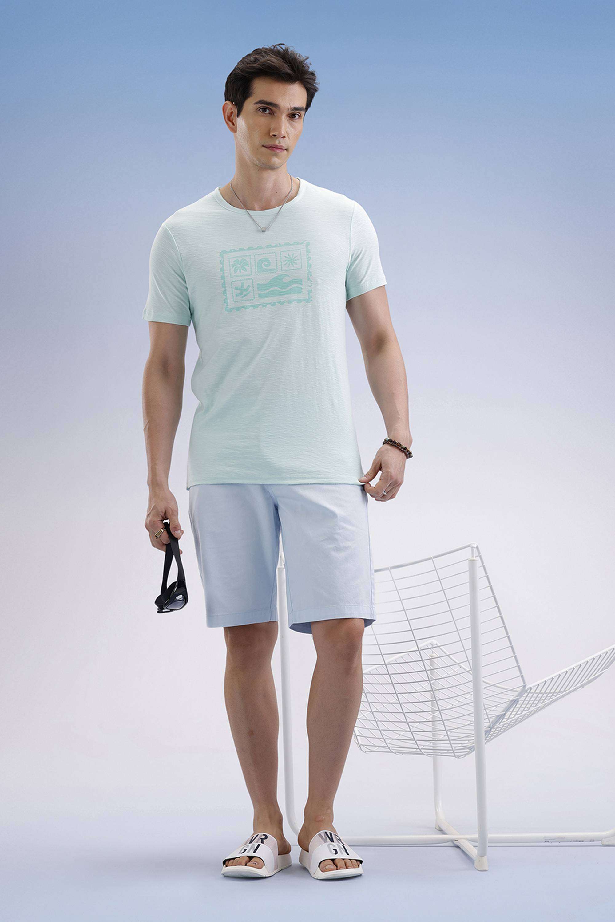 Solid-Cotton-Regular-Fit-Men-s-T-Shirt