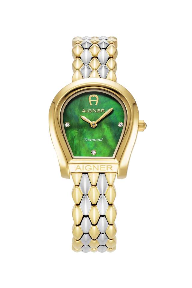 Bitonto-Diamond-28---31-mm-Green-Dial-Stainless-Steel-Analogue-Wrist-Watch-for-Women---AIAGW231003W
