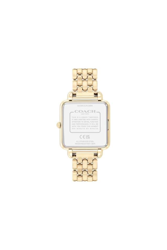 Cass-28-mm-Brown-Square-Dial-Stainless-Steel-Analogue-Watch-for-Women---14504495