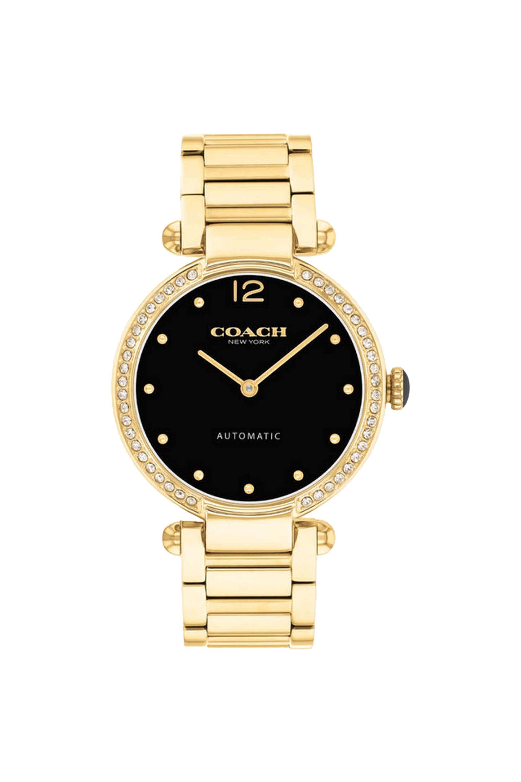 Cary-34-mm-Automatic-Analogue-Watch-For-Women-s---Black-Dial-with-Gold-Stainless-Steel-Strap-(WCO14504579)