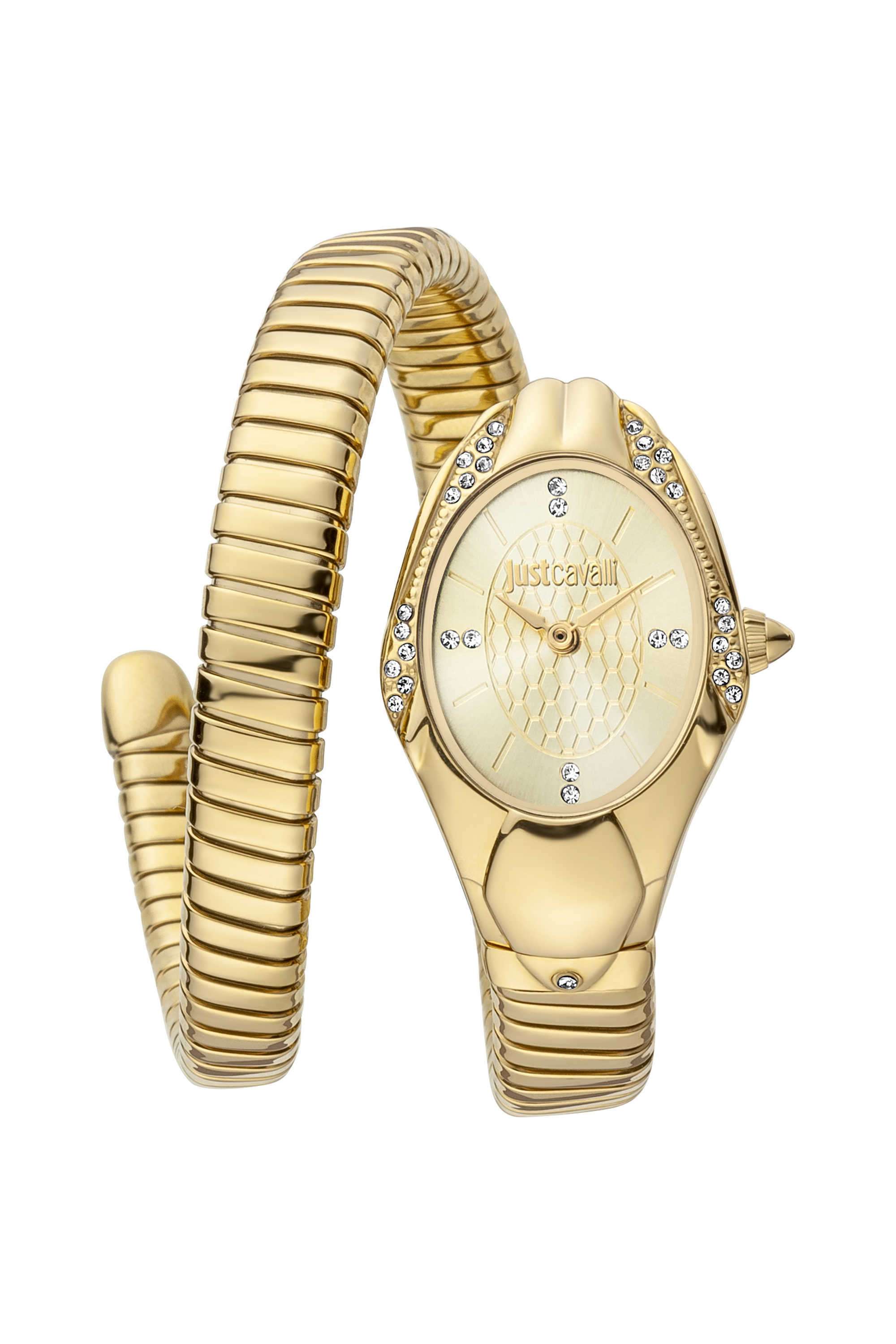 22-x-35-mm-Serpente-Regali-Champagne-Dial-Metal-Analog-Watch-For-Women---JC1L183M0025