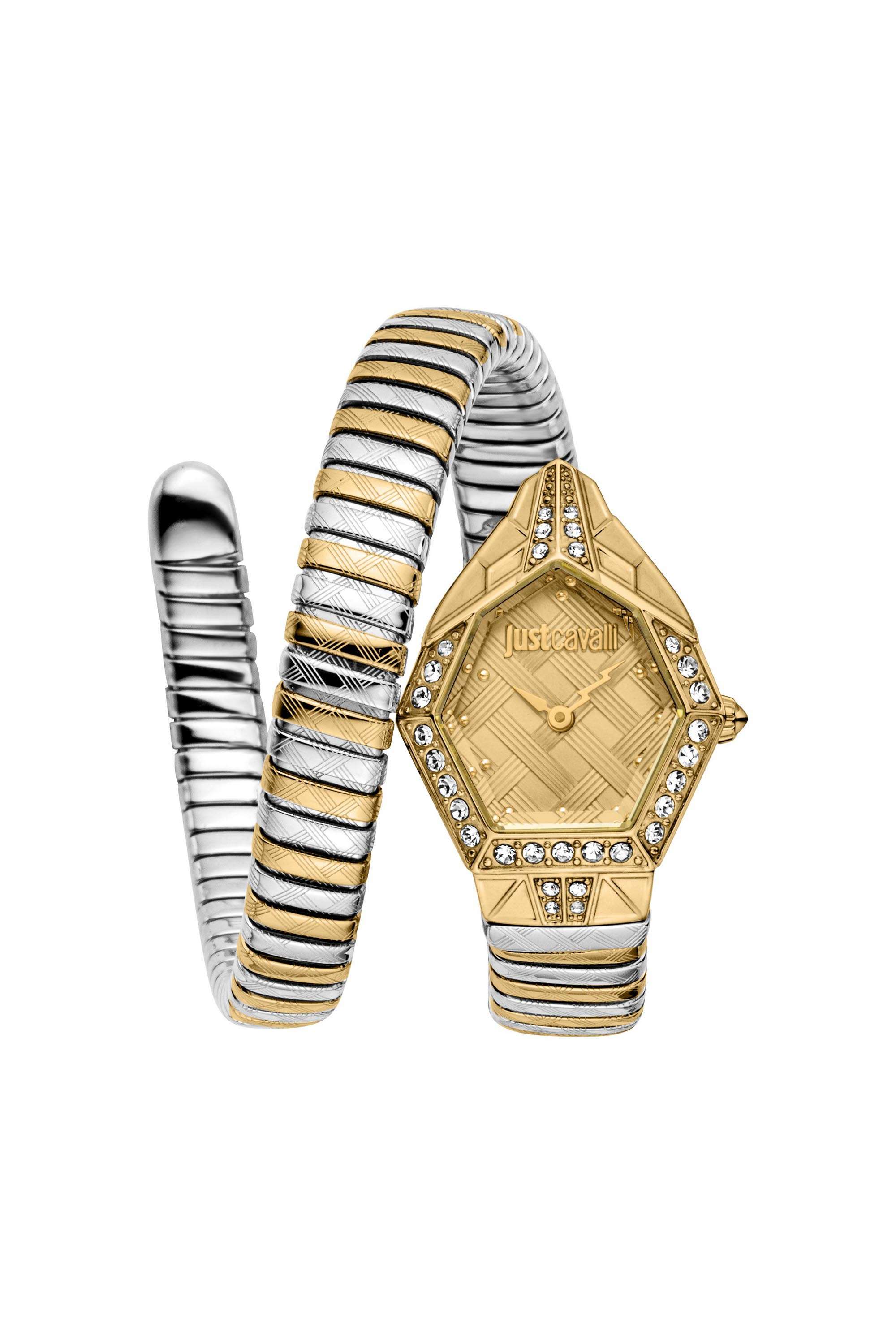 Ornato-Snake-23x32.50-mm-Gold-Dial-Stainless-Steel-Analogue-Wrist-Watch-for-Women---JC1L303M0055