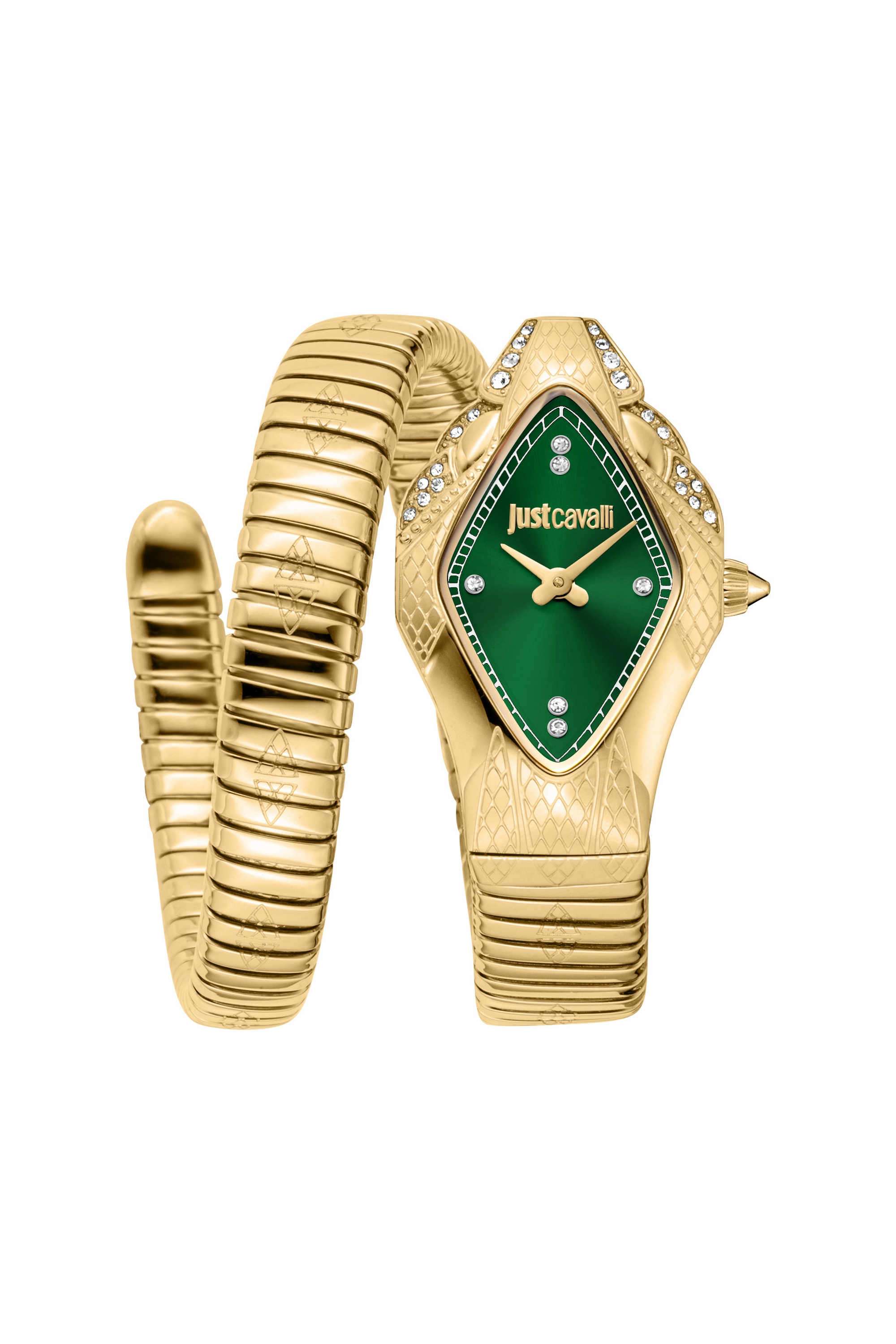 Ferocious-22x36.5-mm-Dark-Green-Dial-Stainless-Steel-Analogue-Watch-For-Women---JC1L306M0045