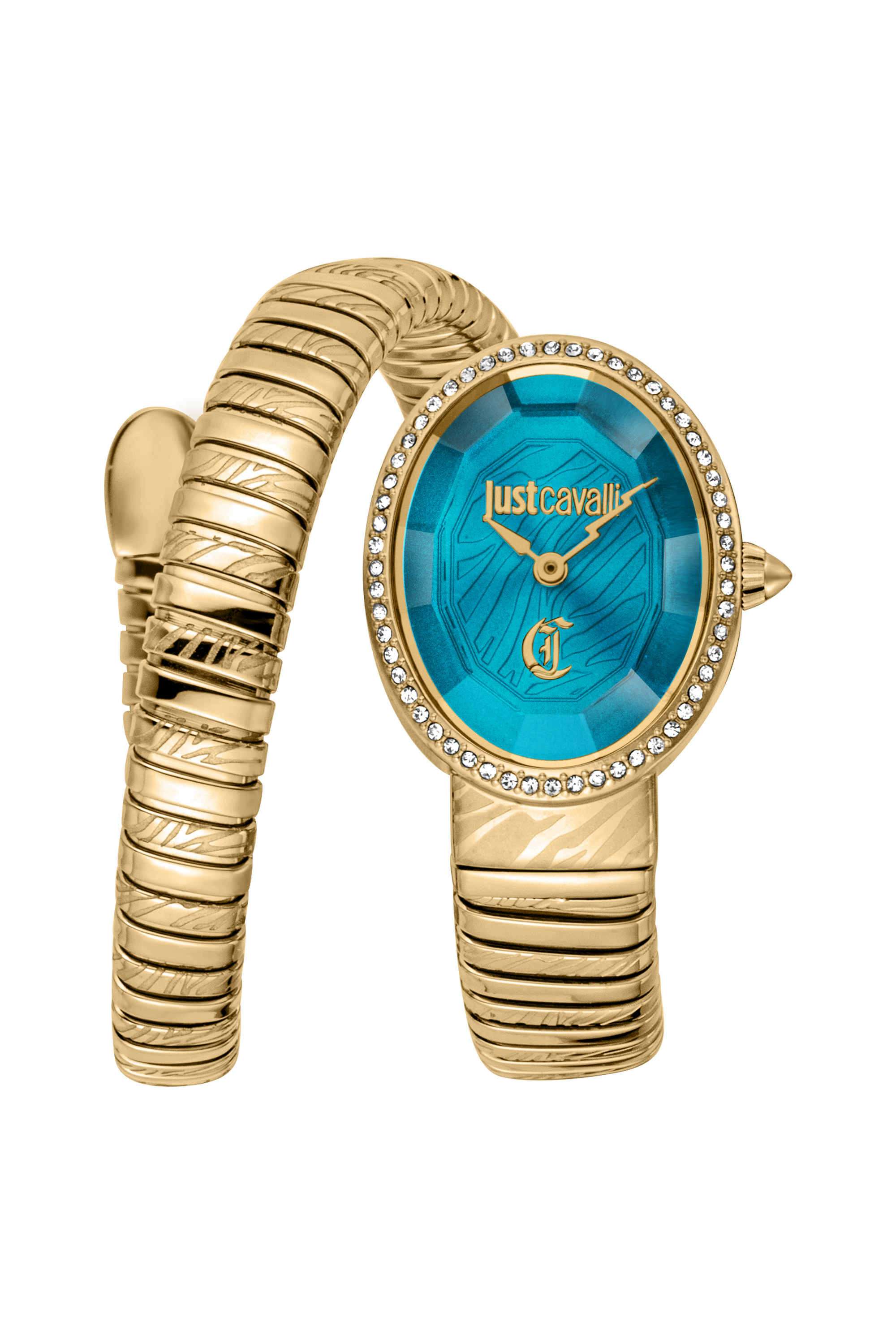Velina-22-x-31.5-mm-Green-Dial-Stainless-Steel-Analogue-Watch-For-Women---JC1L353M0035