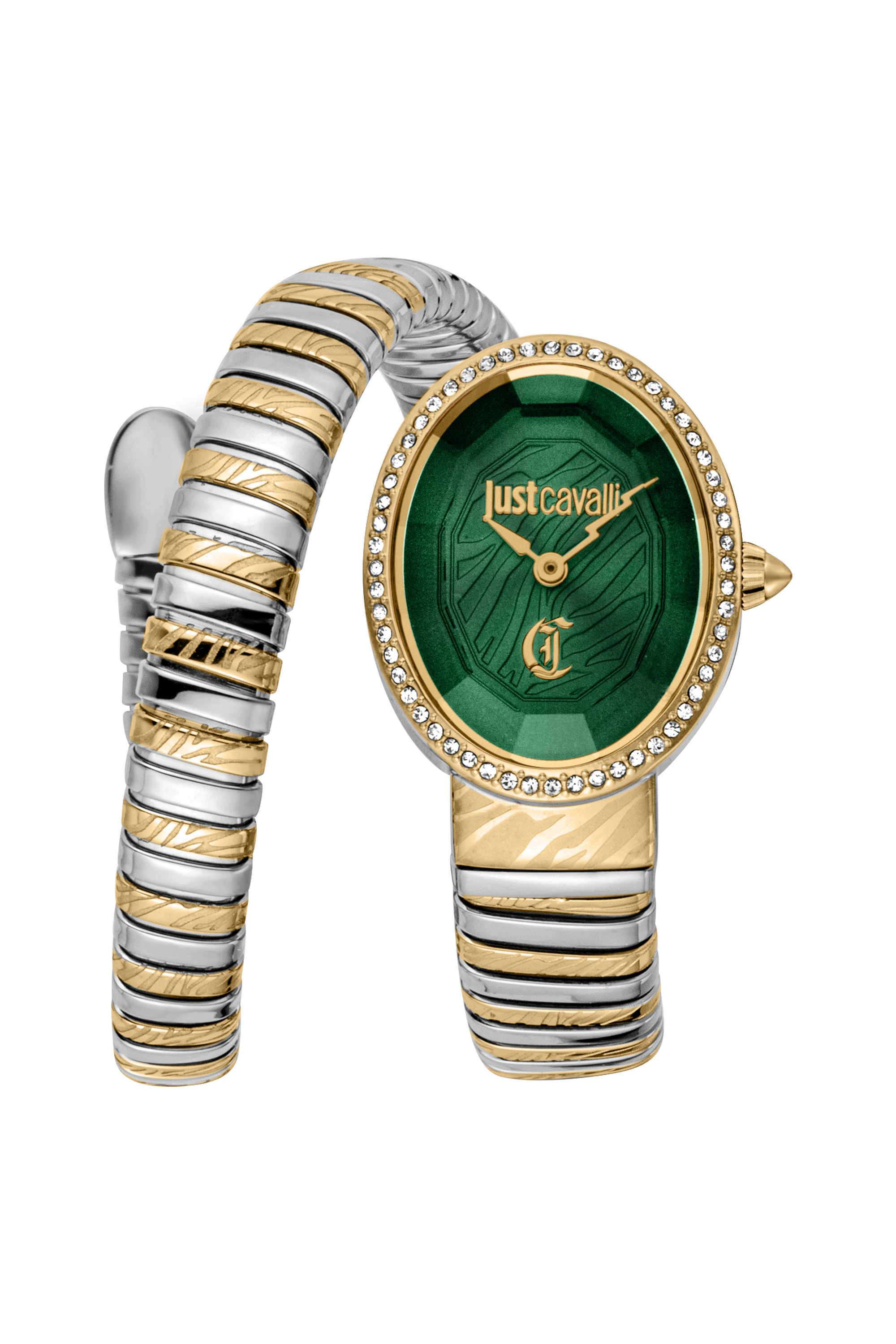 Velina-22-x-31.5-mm-Green-Dial-Stainless-Steel-Analogue-Watch-For-Women---JC1L353M0065