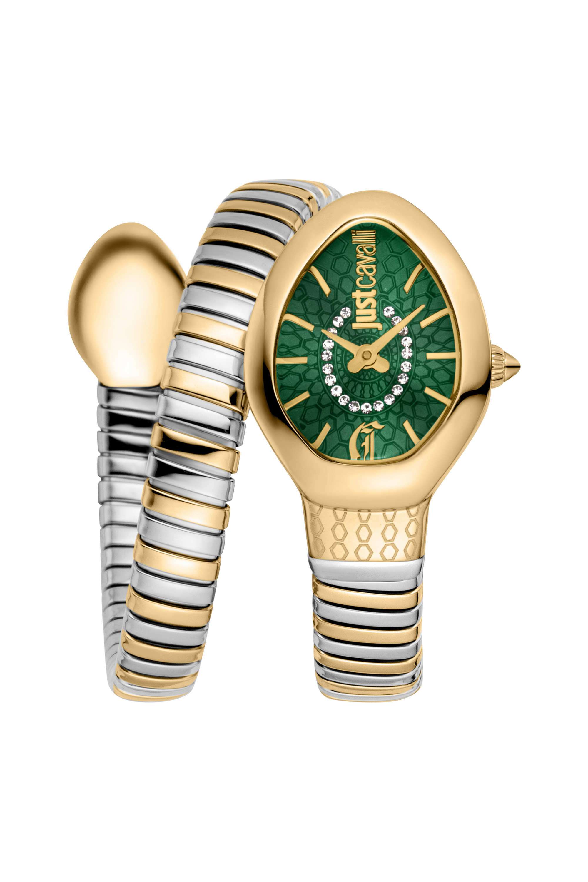 Eclisse-22-x-33.5-mm-Dark-Green-Dial-Stainless-Steel-Analogue-Watch-For-Women---JC1L371M0065