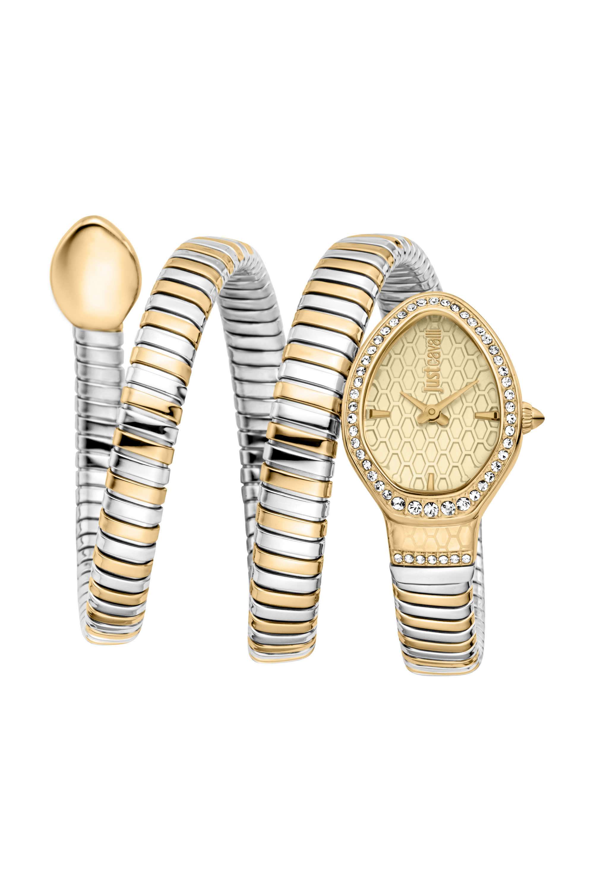 Carezza-22-x-33.5-mm-Champagne-Dial-Stainless-Steel-Analogue-Watch-For-Women---JC1L372M0055