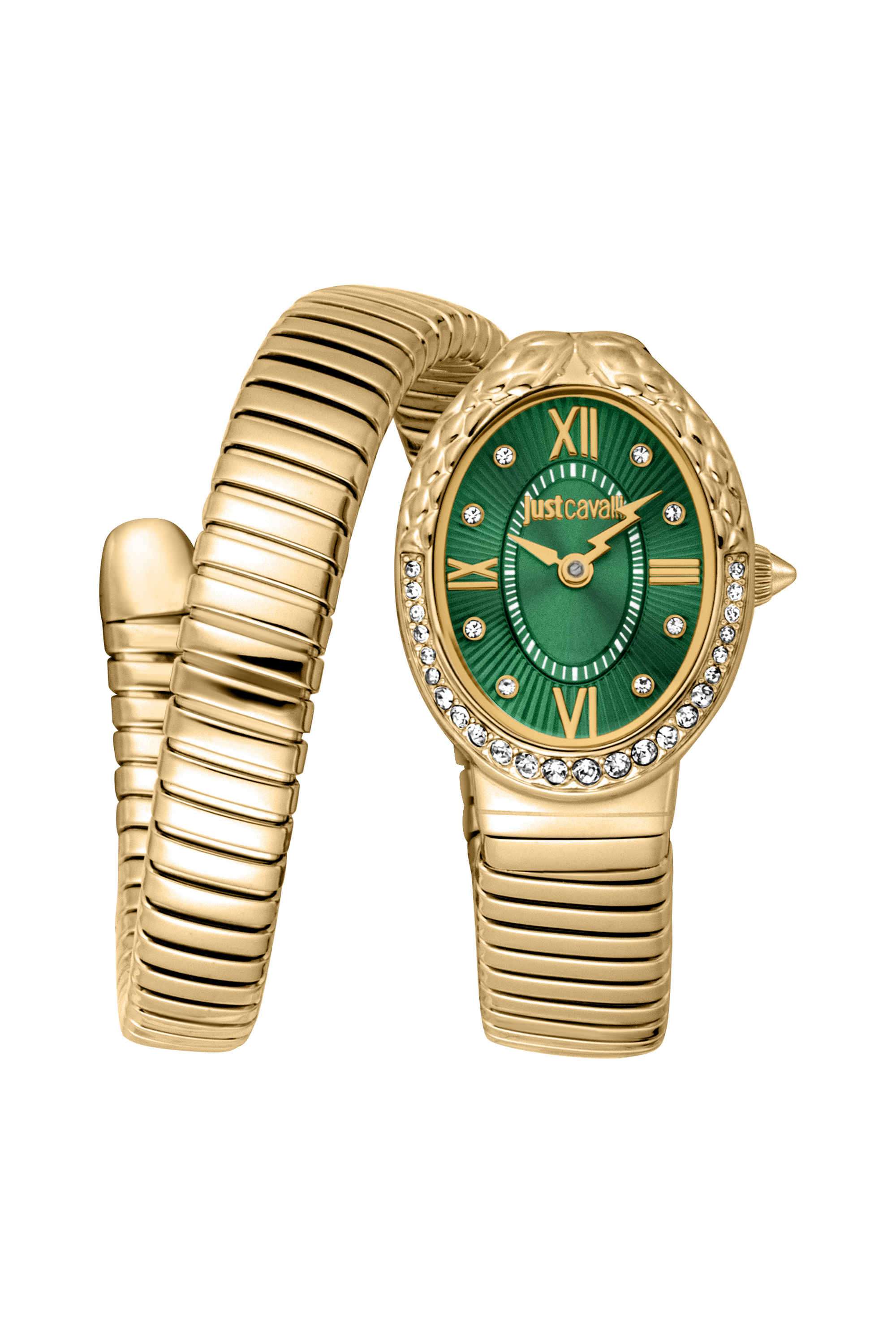 Fiore-22-x-31-mm-Green-Dial-Stainless-Steel-Analogue-Watch-For-Women---JC1L390M0035