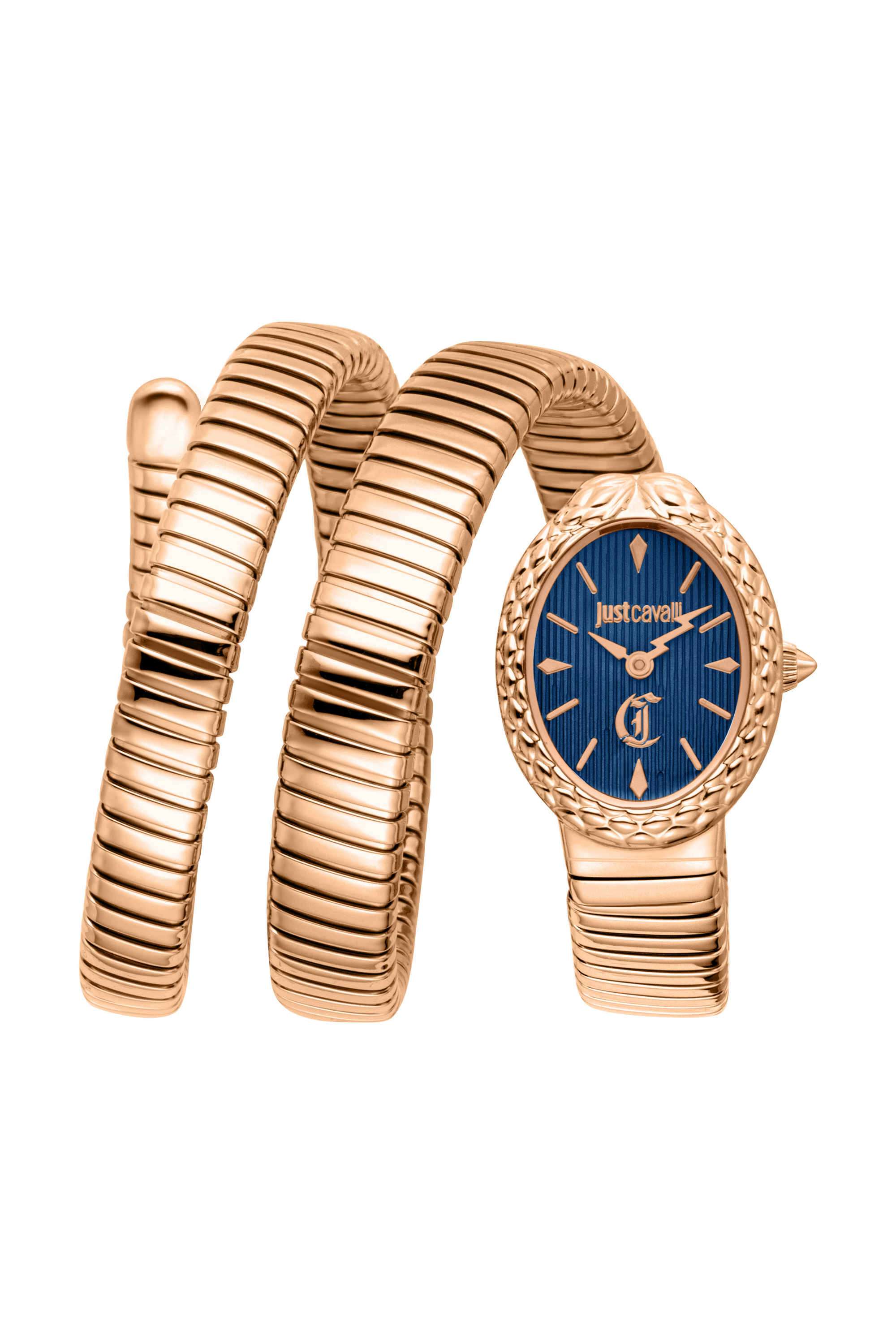 Sognia-22-x-31-mm-Blue-Dial-Stainless-Steel-Analogue-Watch-For-Women---JC1L391M0035