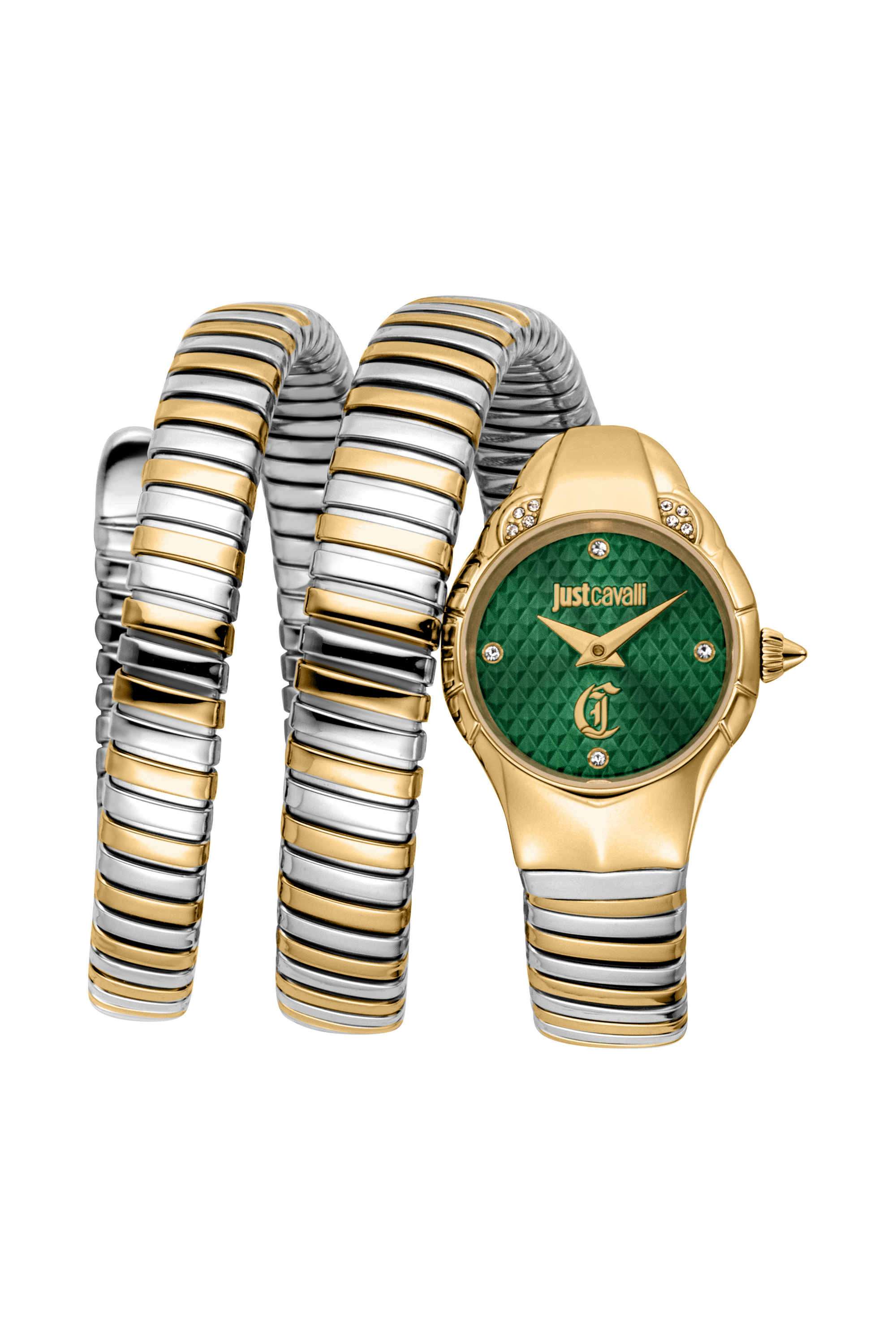 Amanta-22.5-x-32.5-mm-Green-Dial-Stainless-Steel-Analogue-Watch-For-Women---JC1L393M0045