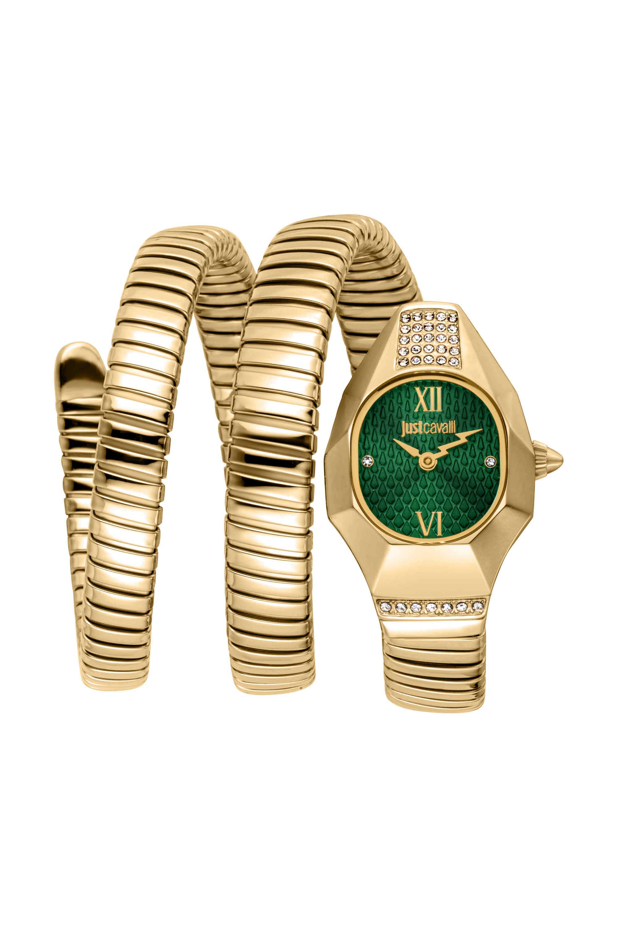 Lunara-23.5-x-35.5-mm-Green-Dial-Stainless-Steel-Analogue-Watch-For-Women---JC1L397M0045