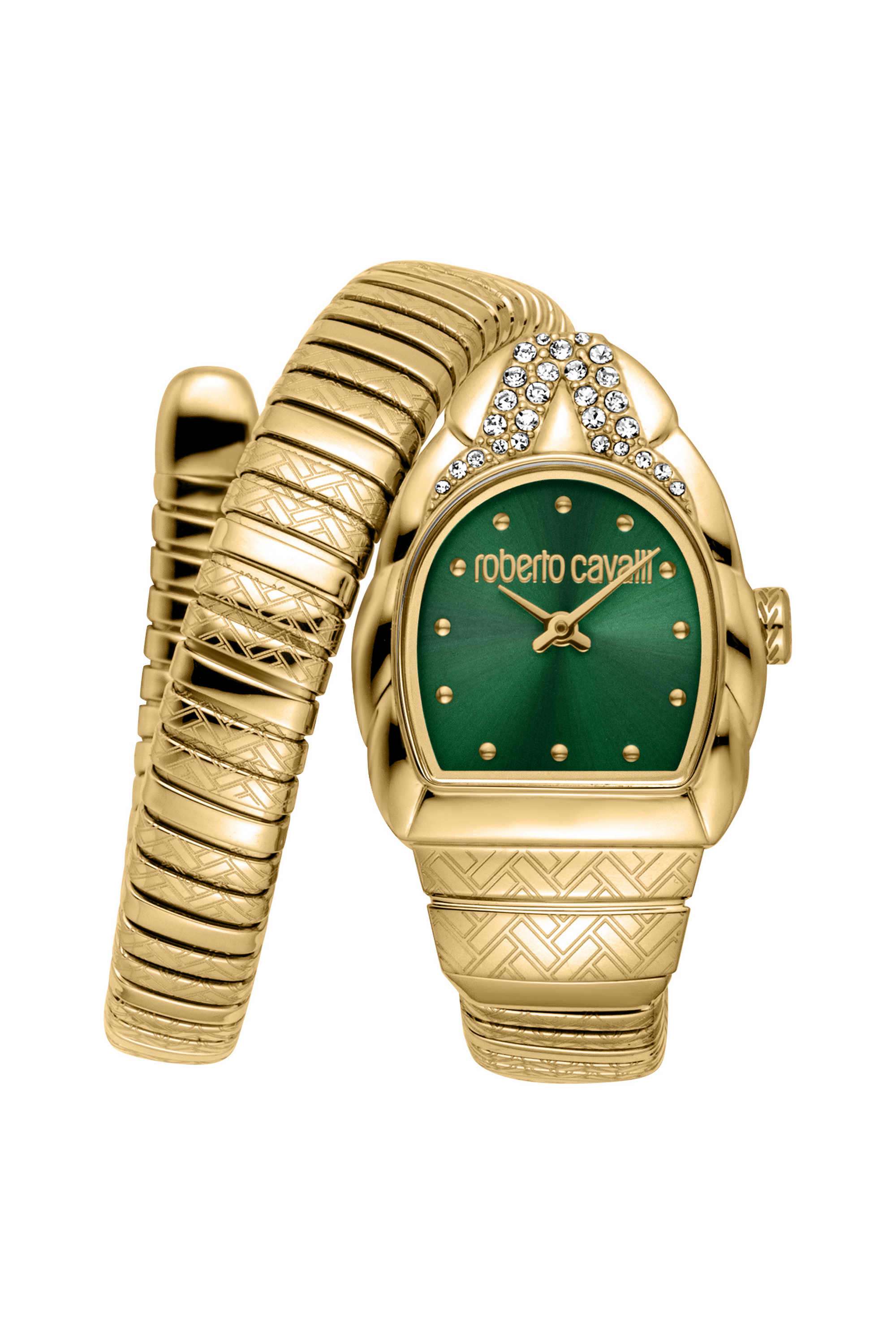 Aurora-24x30-mm-Dark-Green-Dial-Stainless-Steel-Analogue-Watch-For-Women---RC5L133M0045