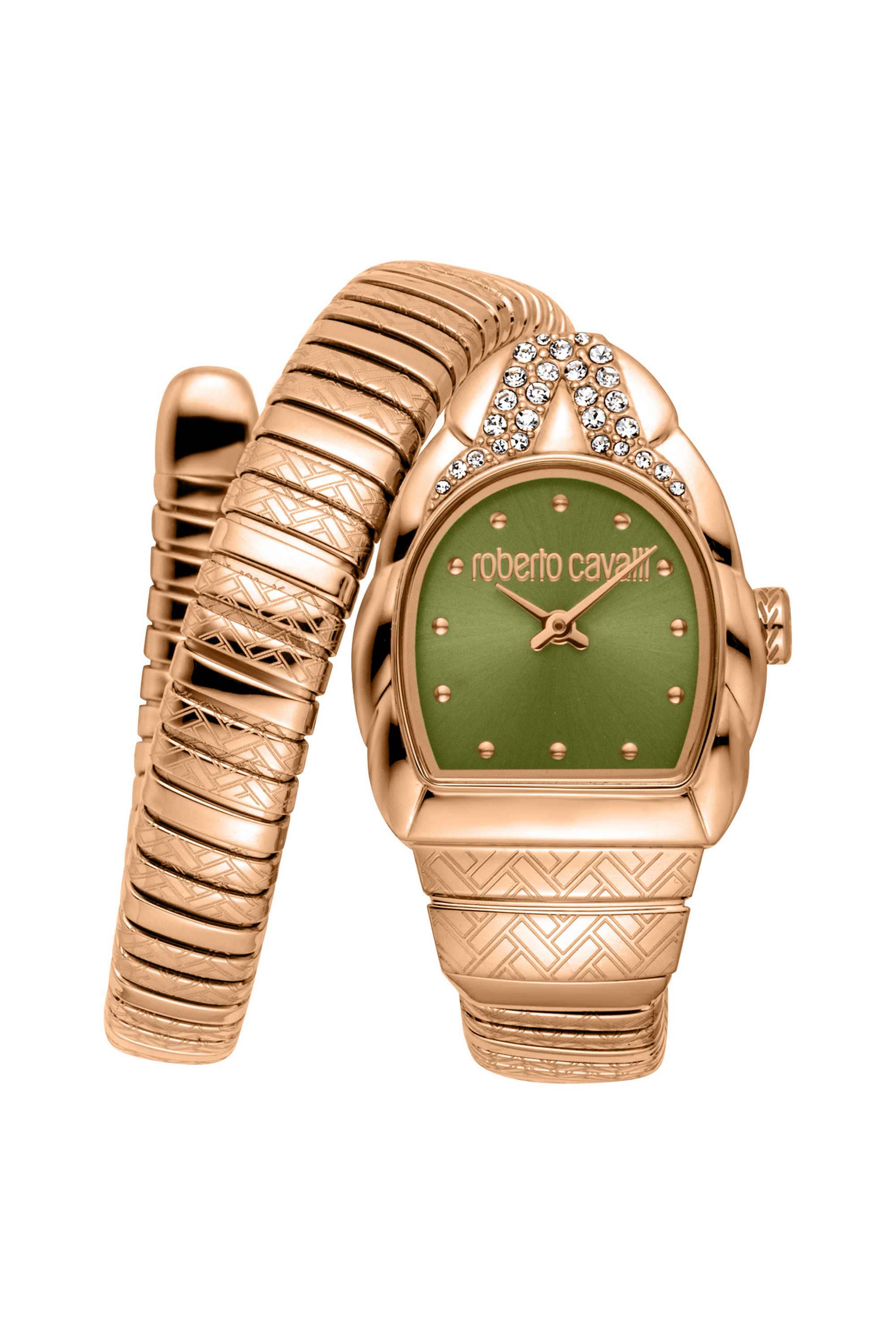 Aurora-24x30-mm-Olive-Dial-Stainless-Steel-Analogue-Watch-For-Women---RC5L133M0055