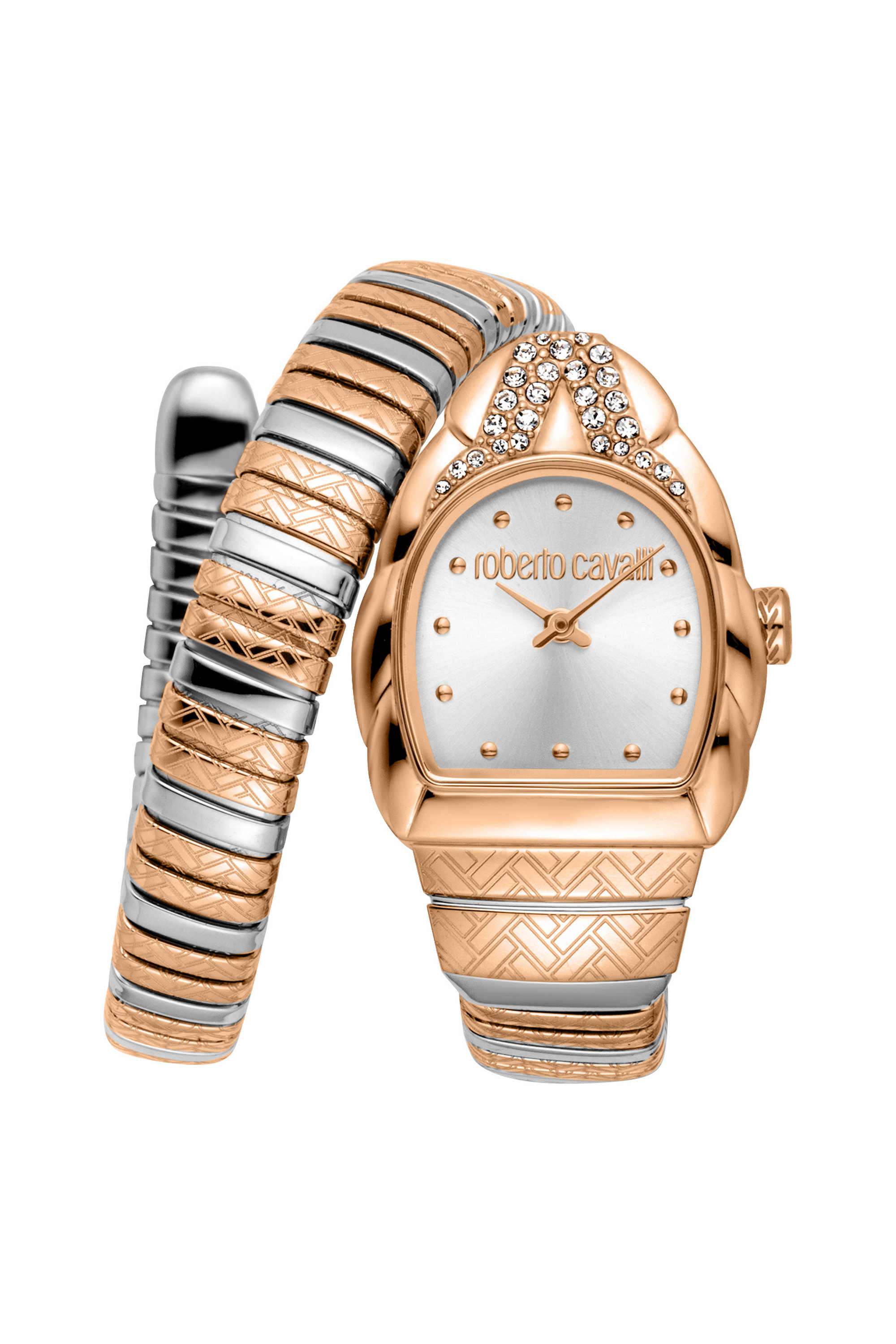 Aurora-24x30-mm-Silver-Dial-Stainless-Steel-Analogue-Watch-For-Women---RC5L133M0075